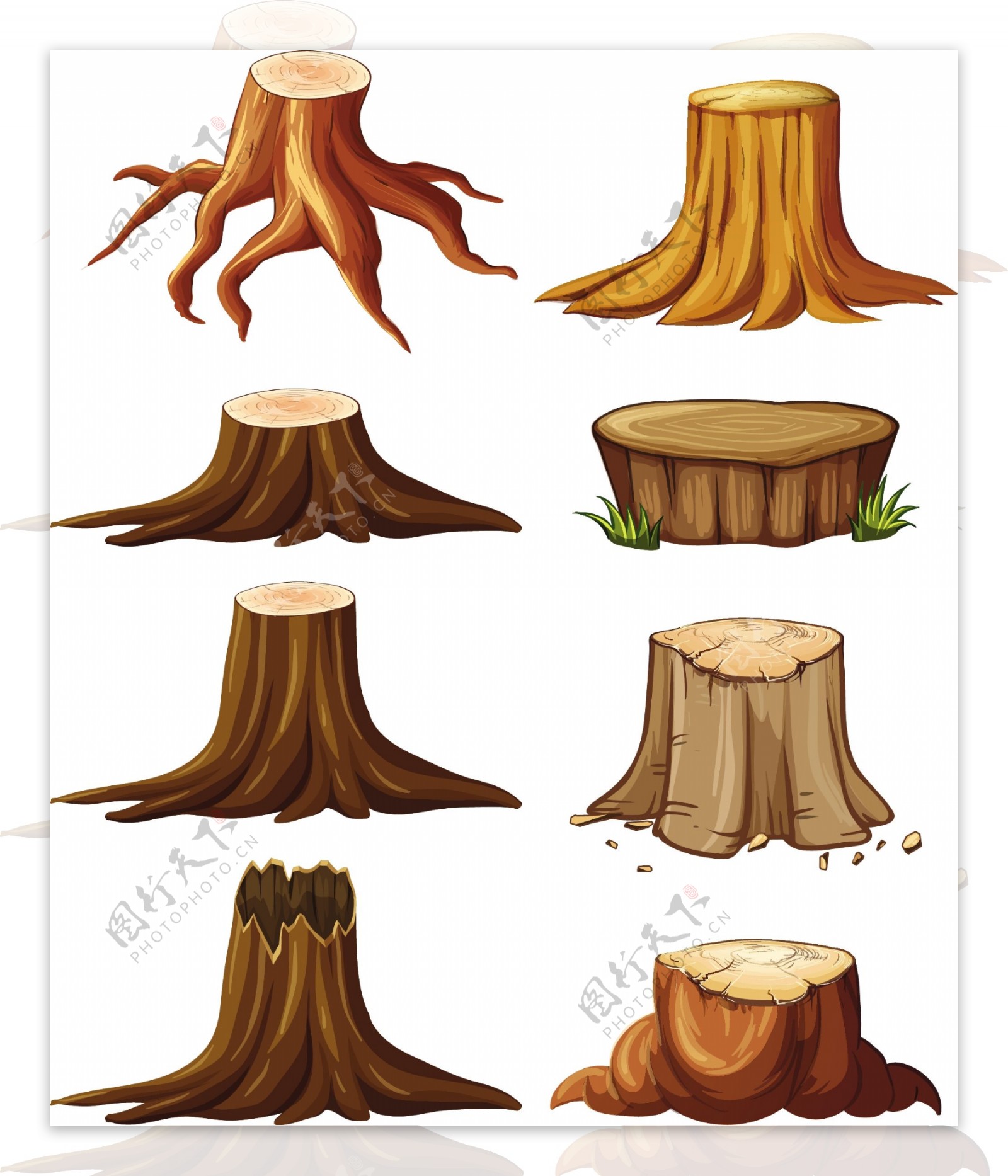 不同类型的树桩插图