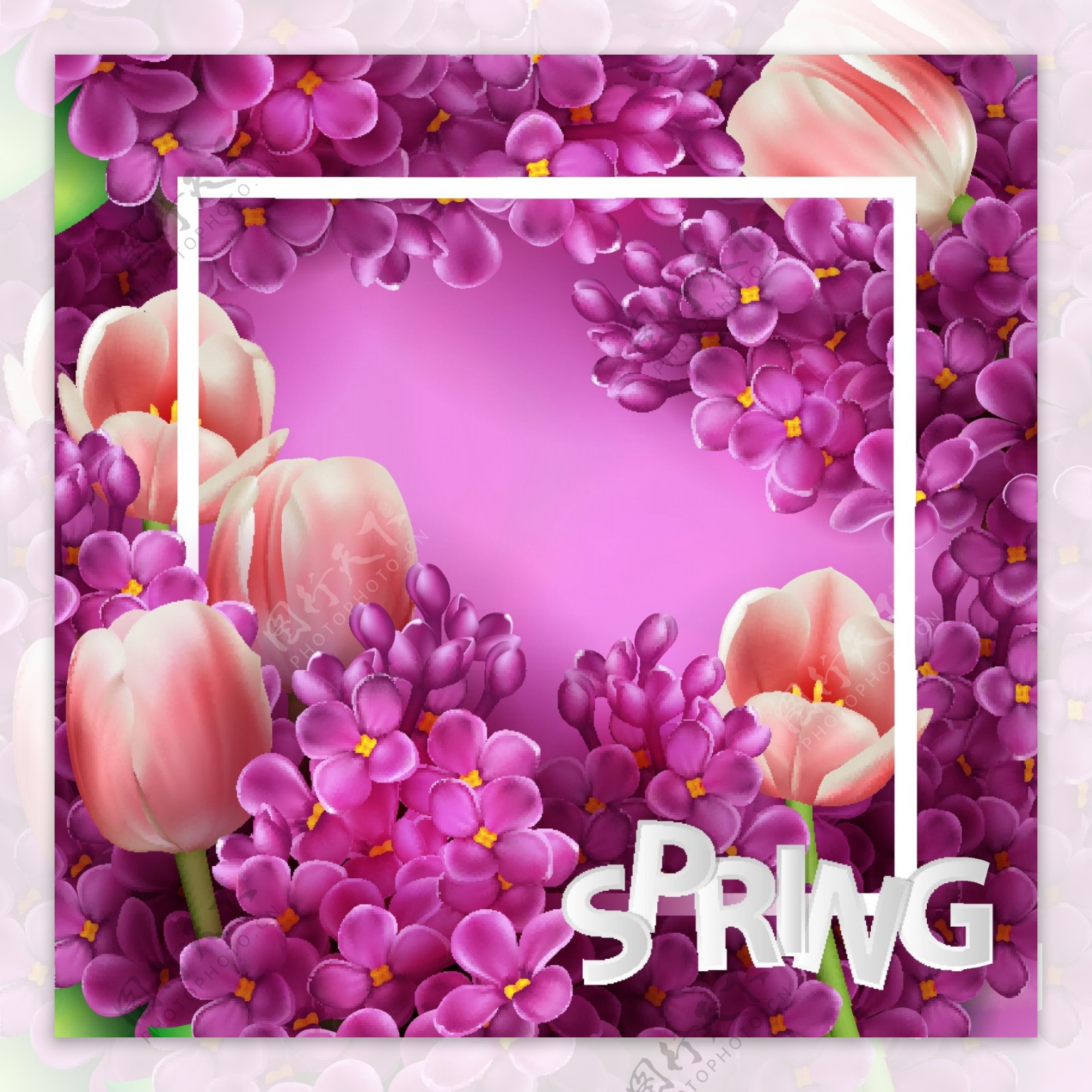 紫丁香花粉色郁金香背景矢量