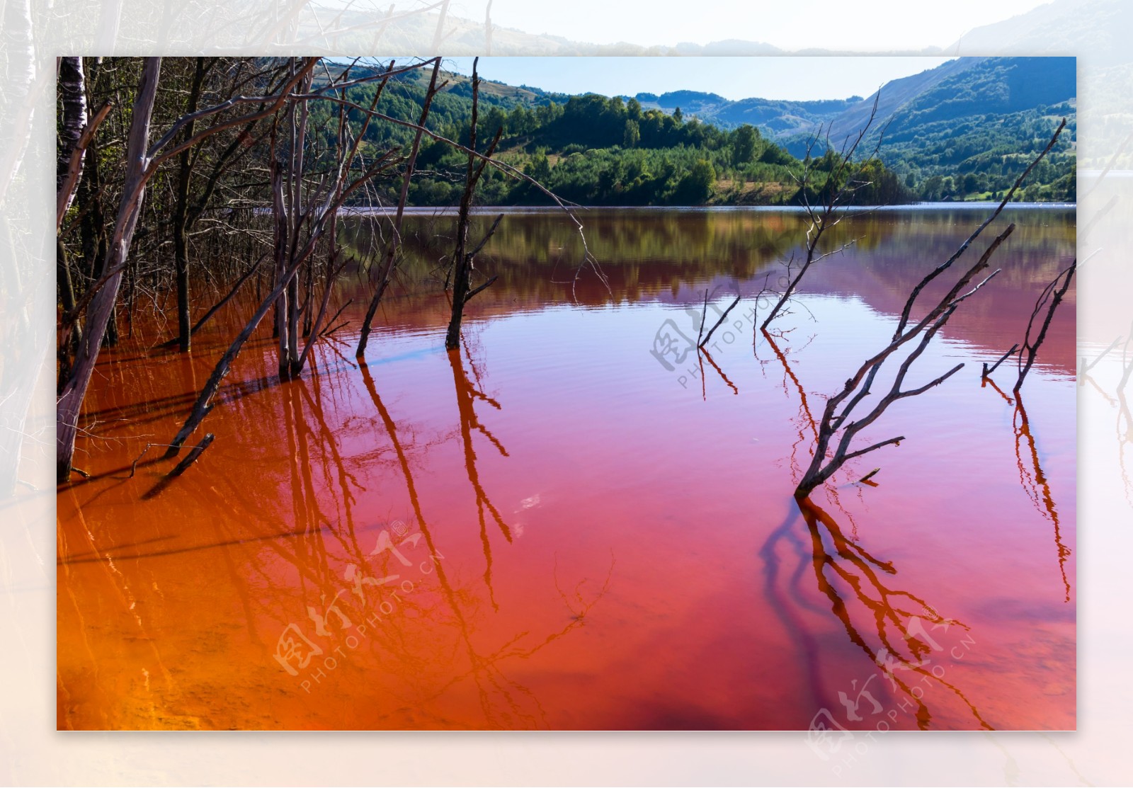 湖水污染变色图片
