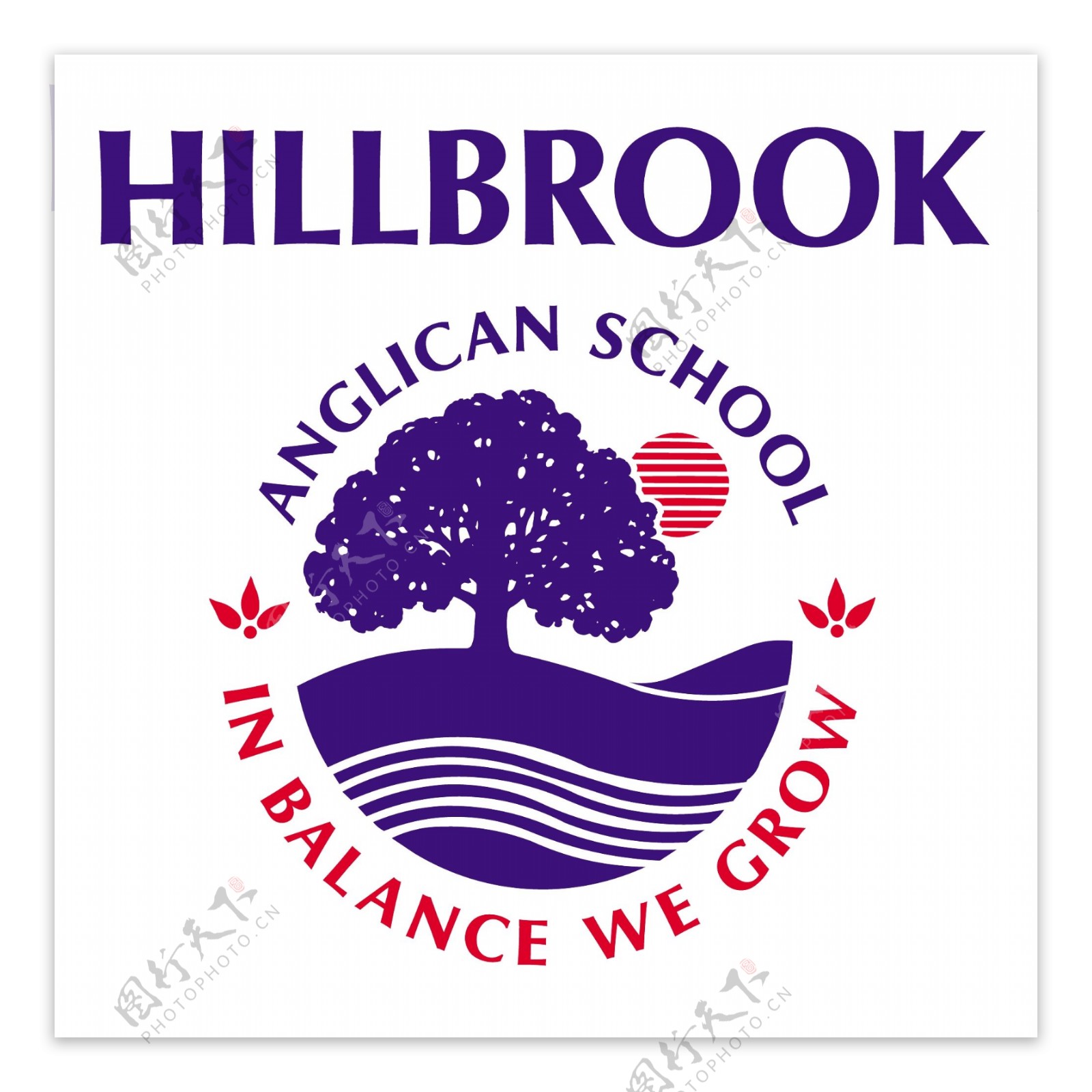 hillbrook学校