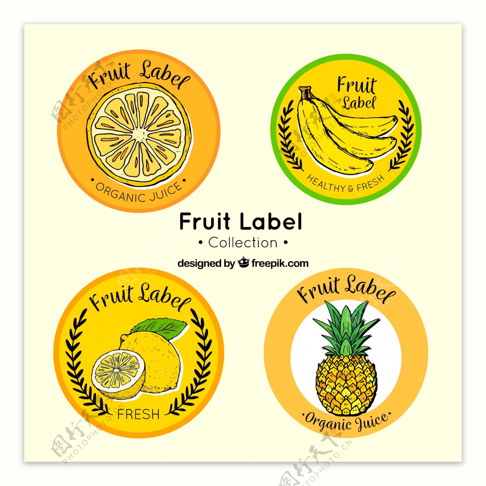 各种手绘圆形水果标签矢量素材