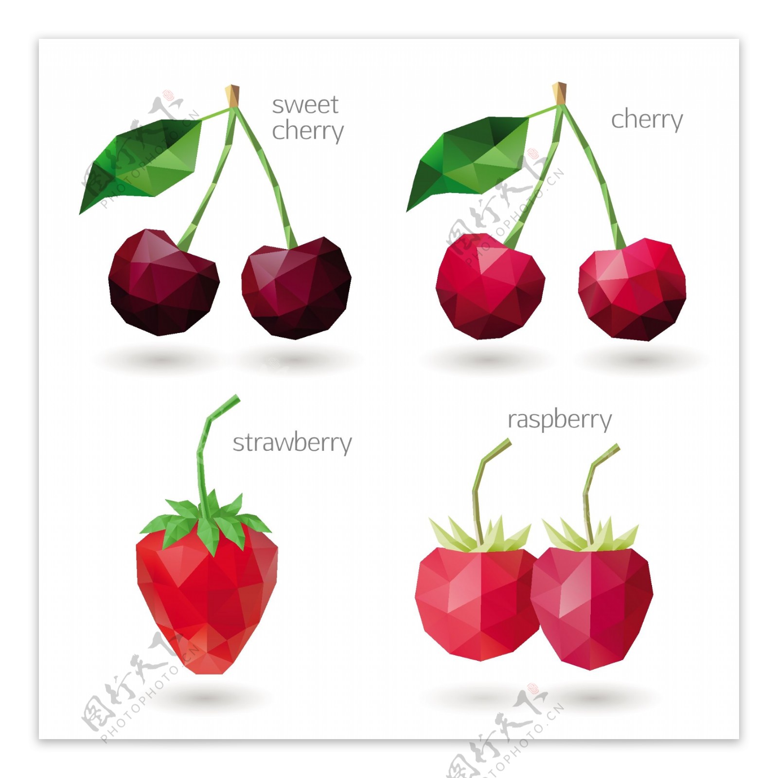 低面设计4款莓果