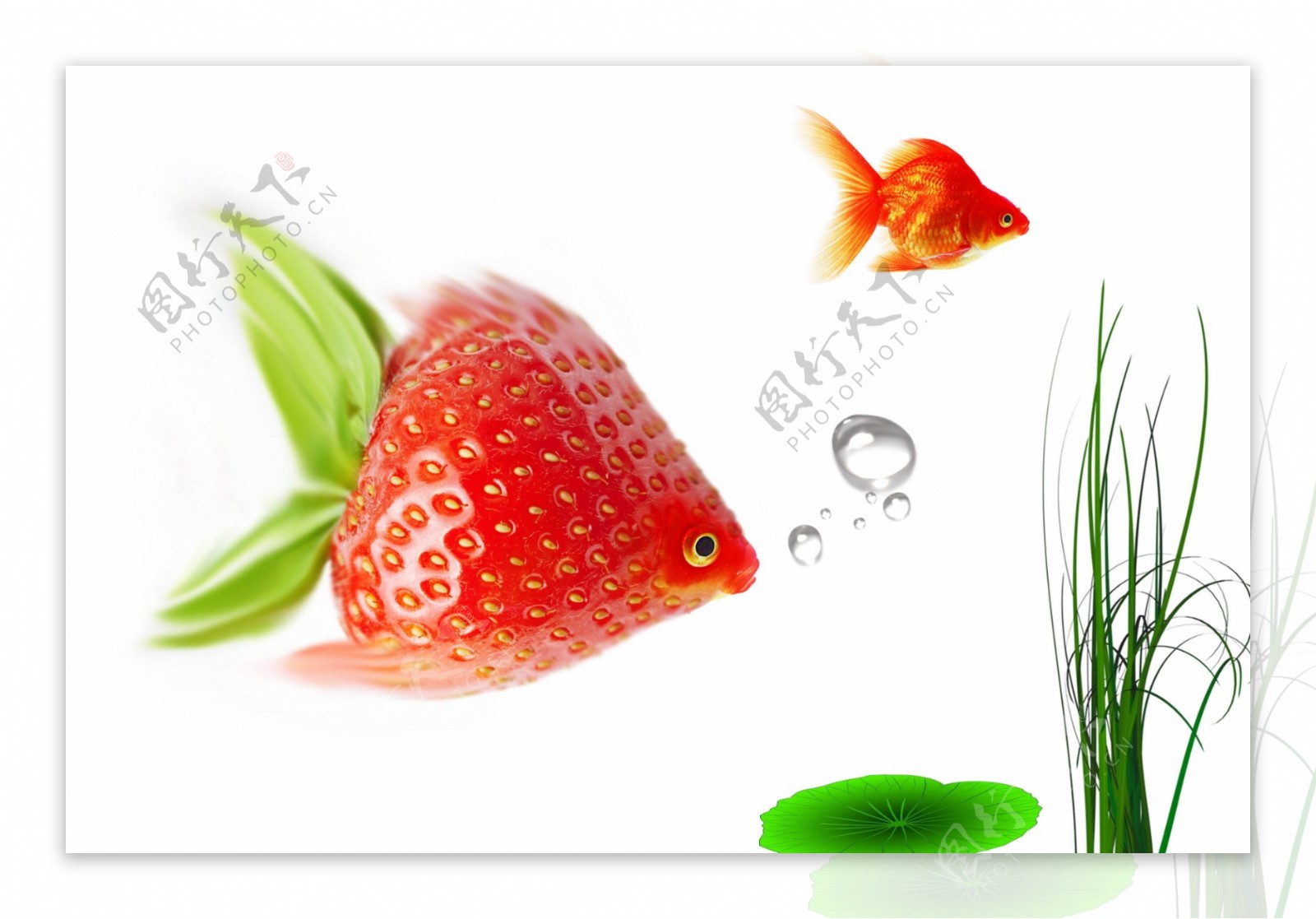 草莓金鱼创意
