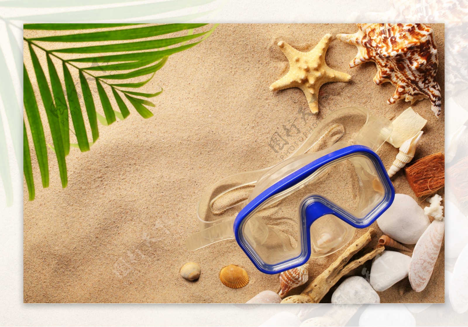 沙滩上的贝壳与潜水眼镜图片