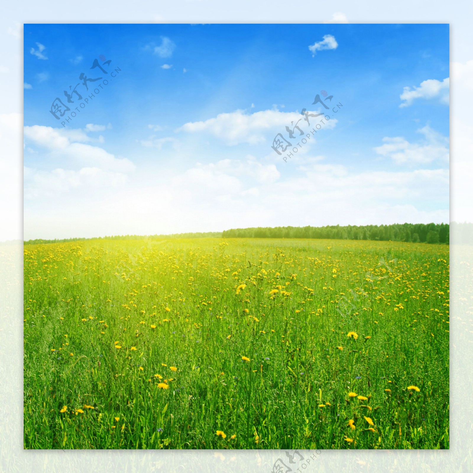 有一个图片是草原风景和一个女的奔跑的图，谁能帮忙找一下，万分感谢_百度知道