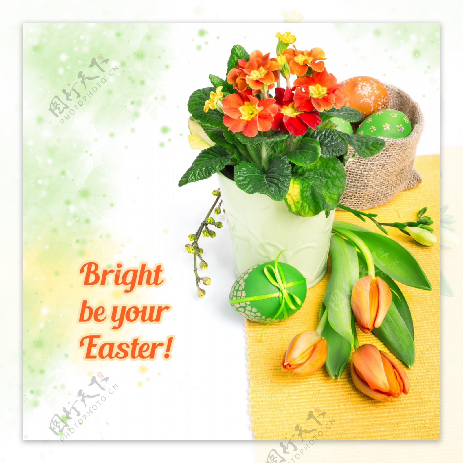 美丽郁金香与复活节彩蛋图片