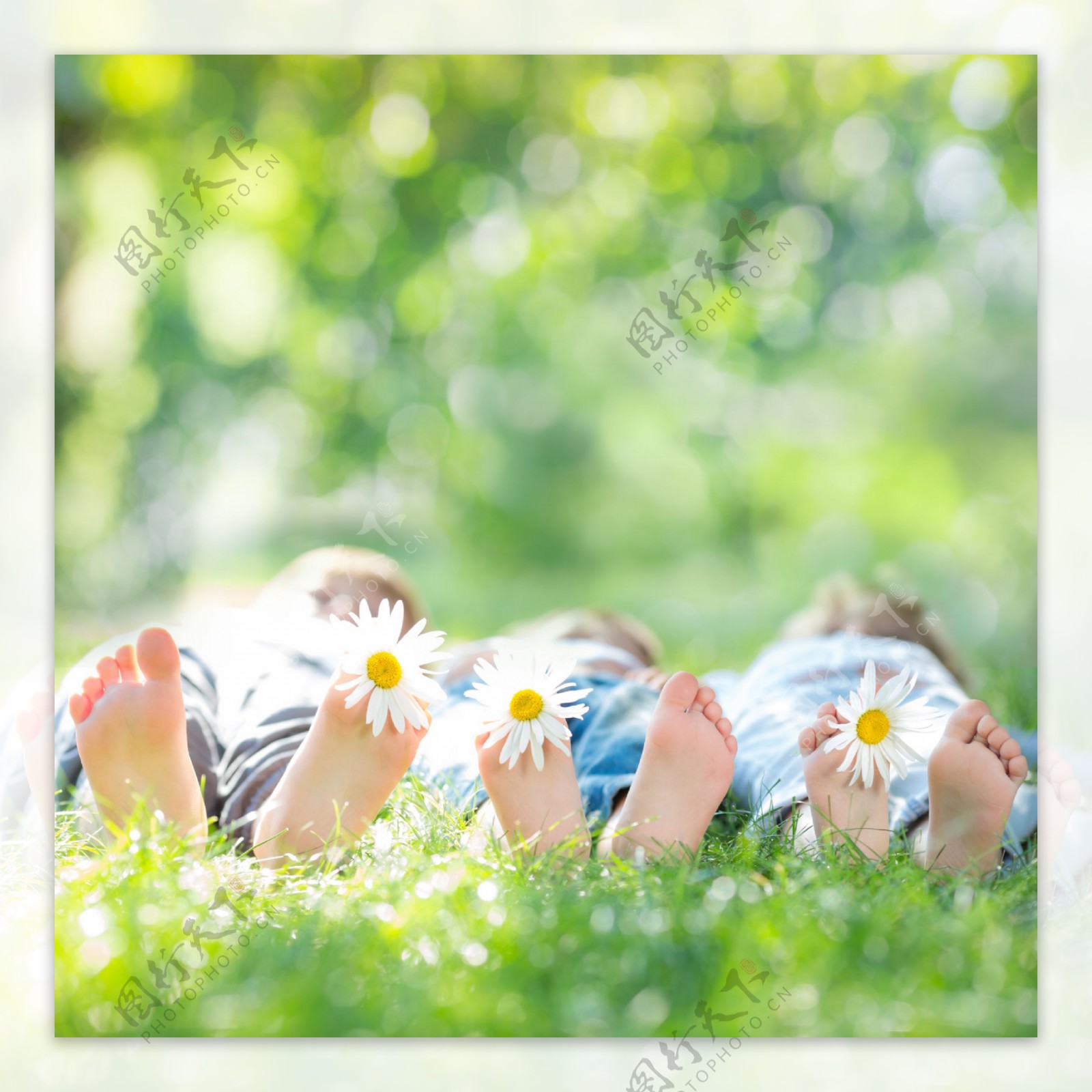 躺在草地上的一家人图片