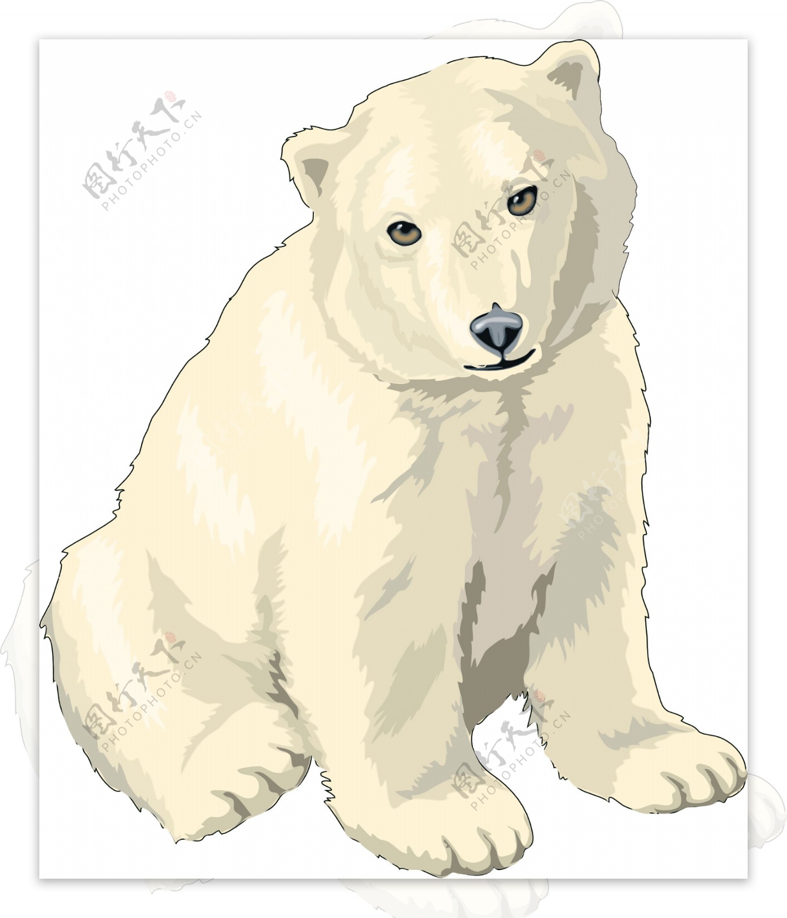 北极熊3