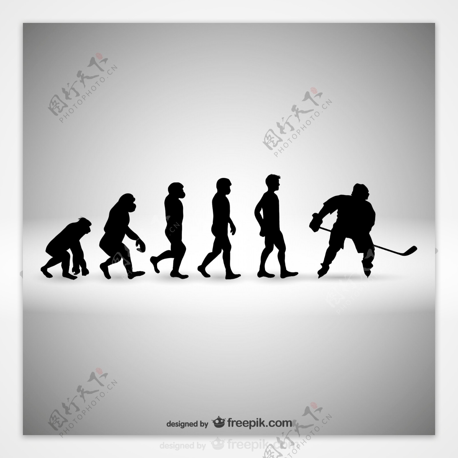 曲棍球人类进化