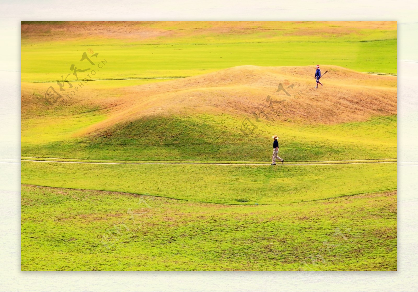 草地上打高尔夫球的运动人物图片
