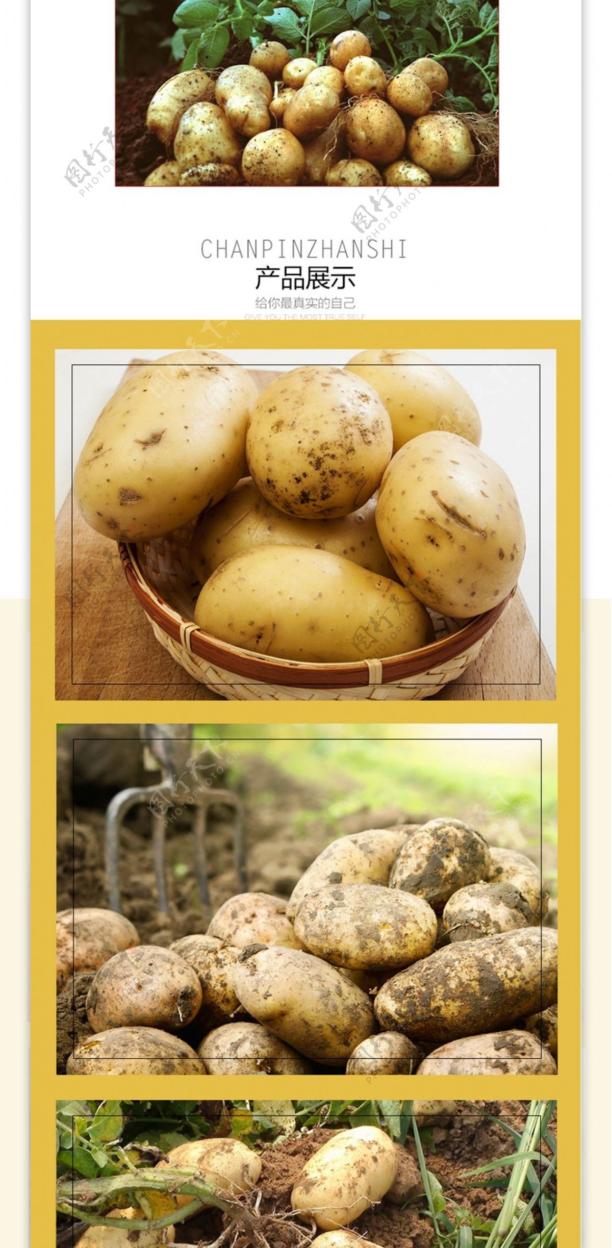 淘宝农产品土豆详情页