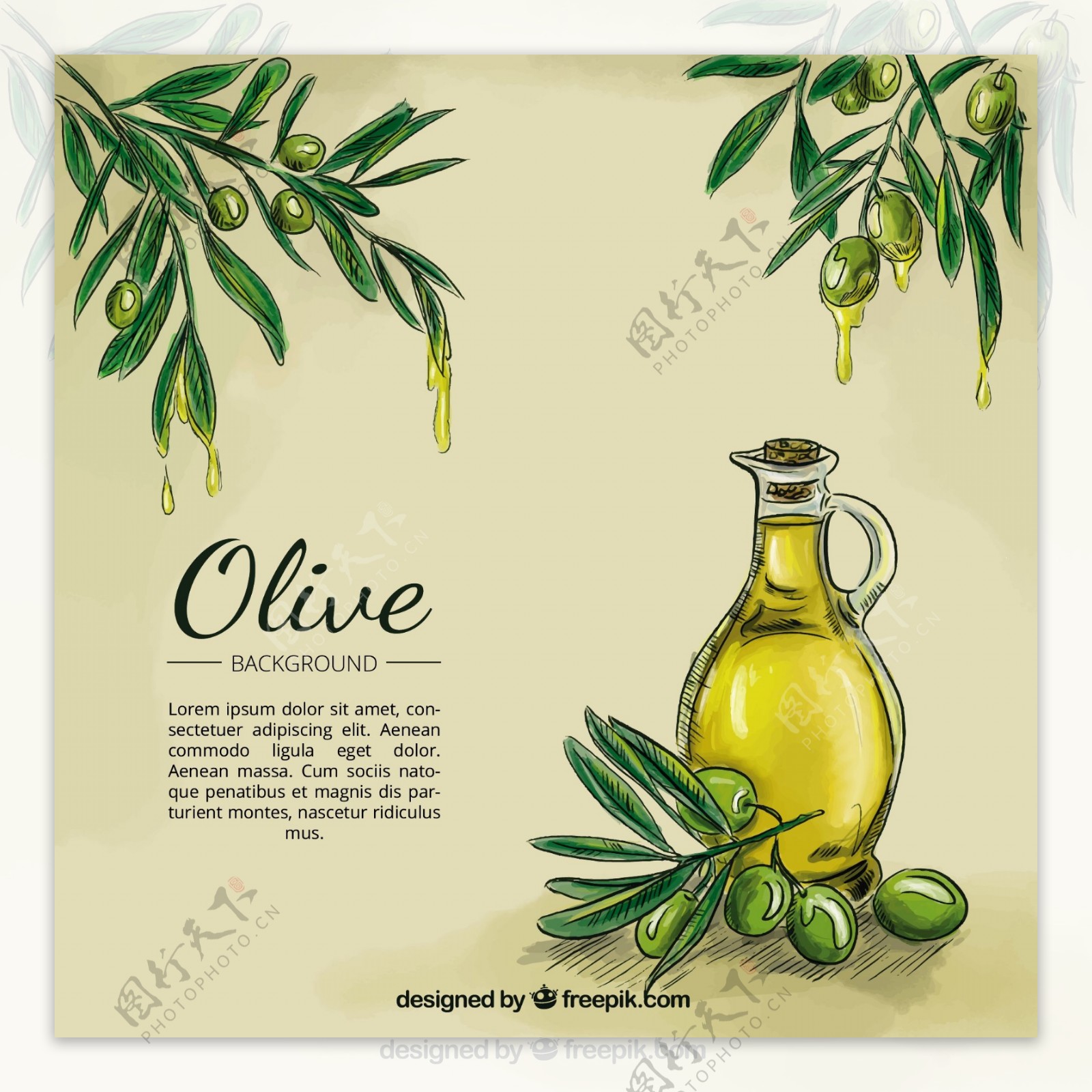 橄榄油素描背景