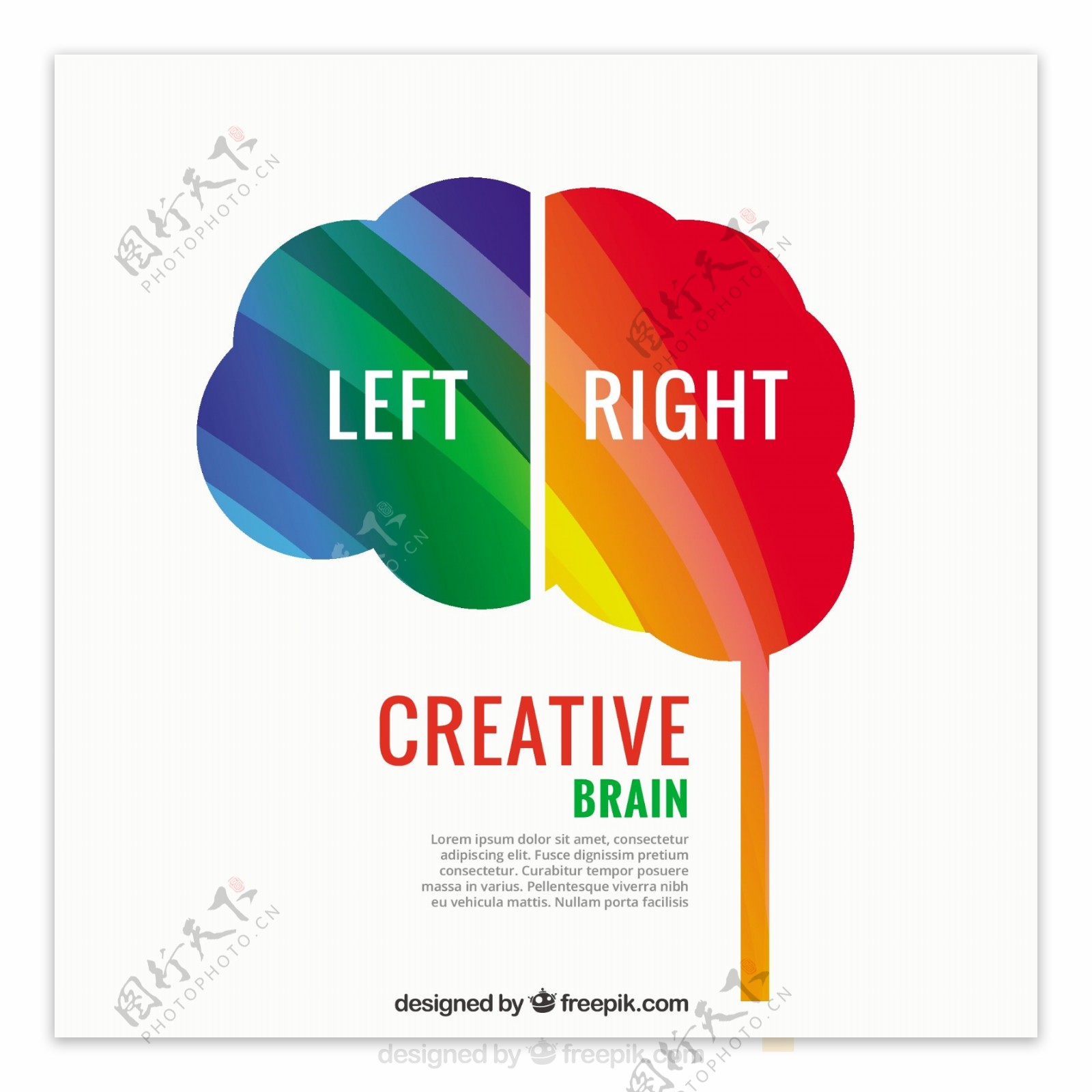 创造性的大脑