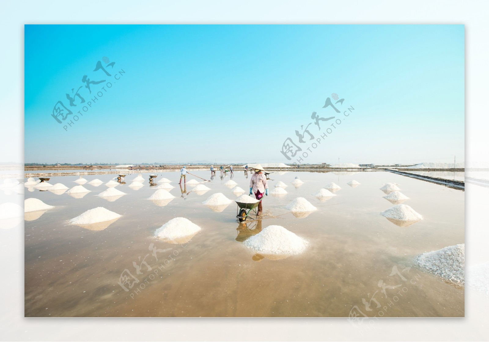 越南盐滩收盐的人们图片