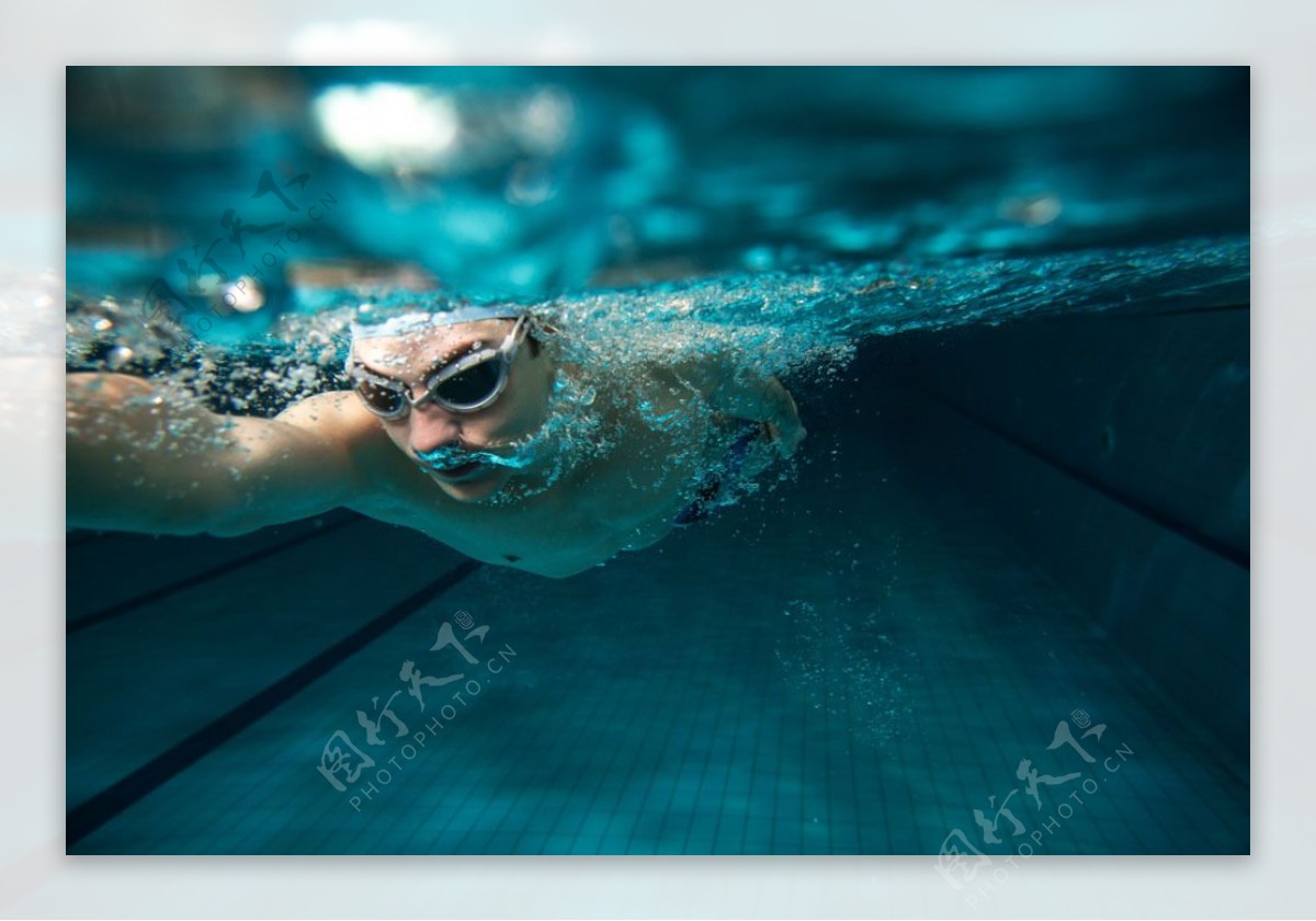 游泳运动员图片