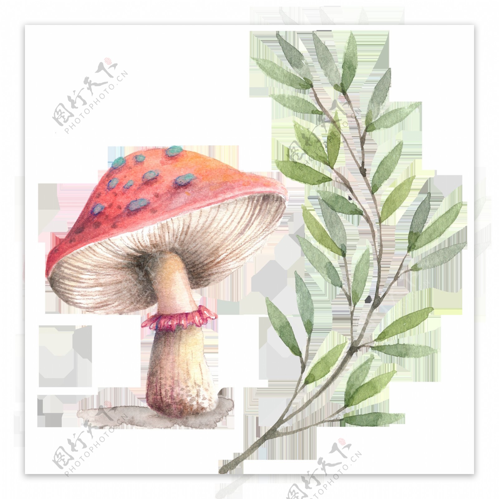 手绘蘑菇和绿叶素材