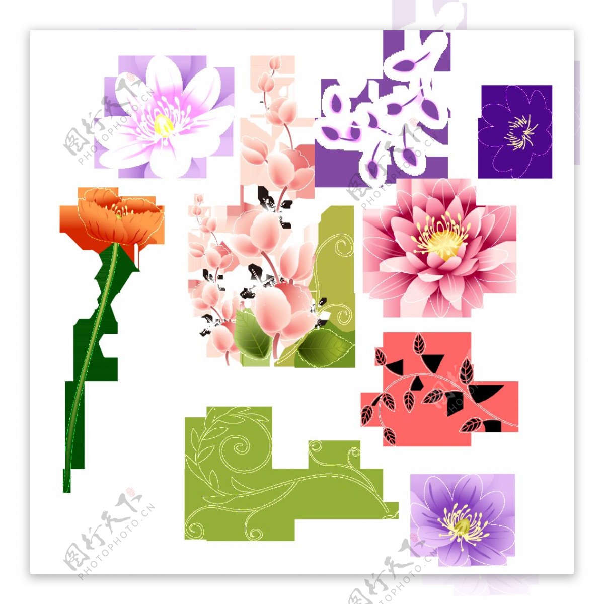 花朵和枝叶装饰图案