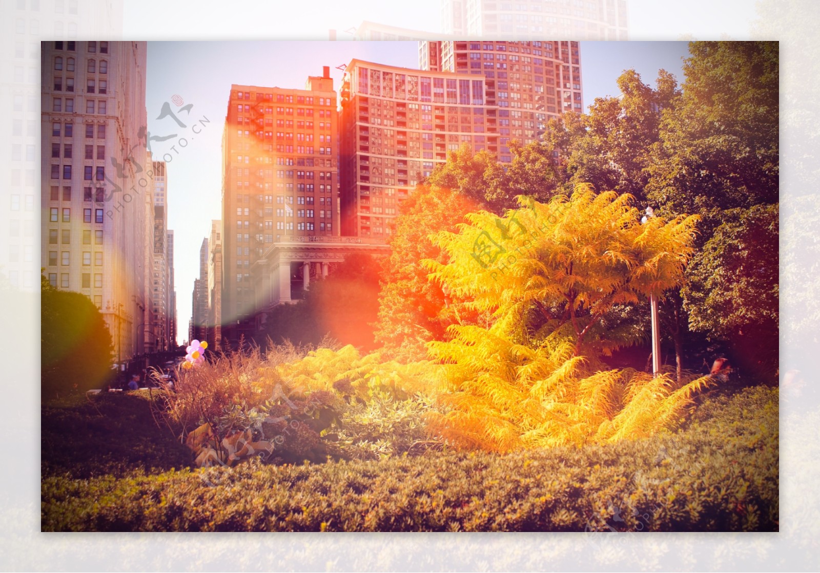 秋季花园风景图片