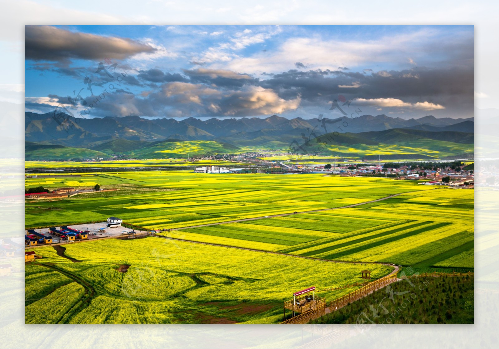 美丽的油菜花风景图片