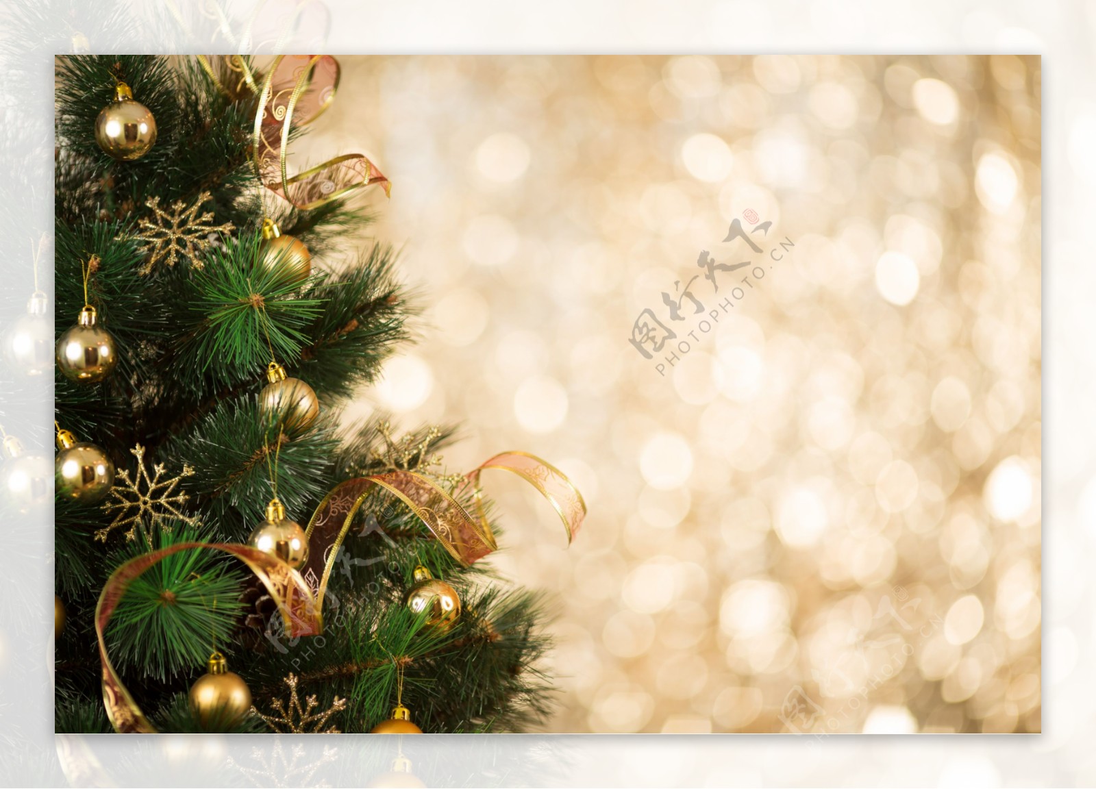 装饰完的圣诞树图片