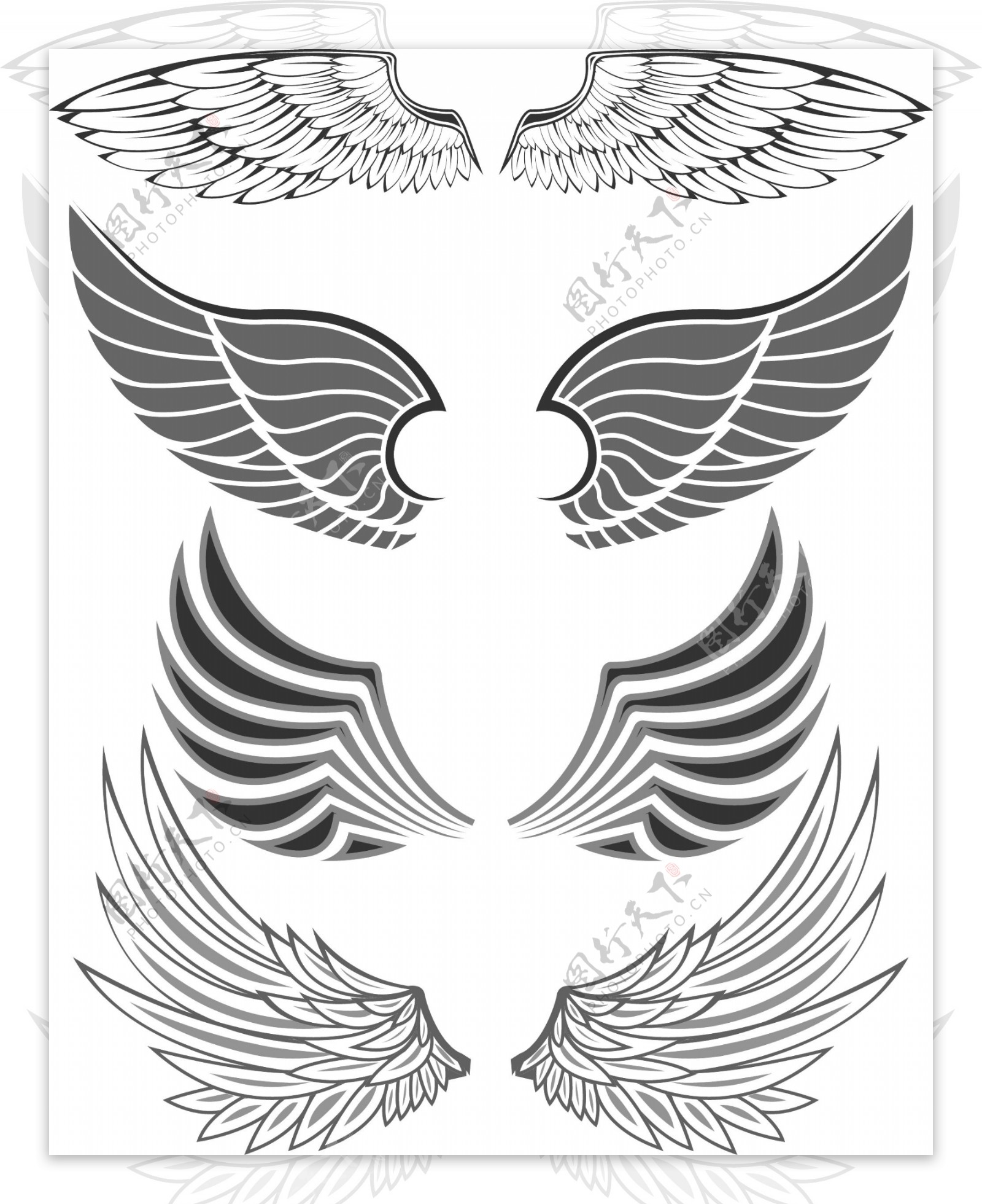 素描风格鸟类翅膀免抠png透明图层图片素材-编号24605301-图行天下
