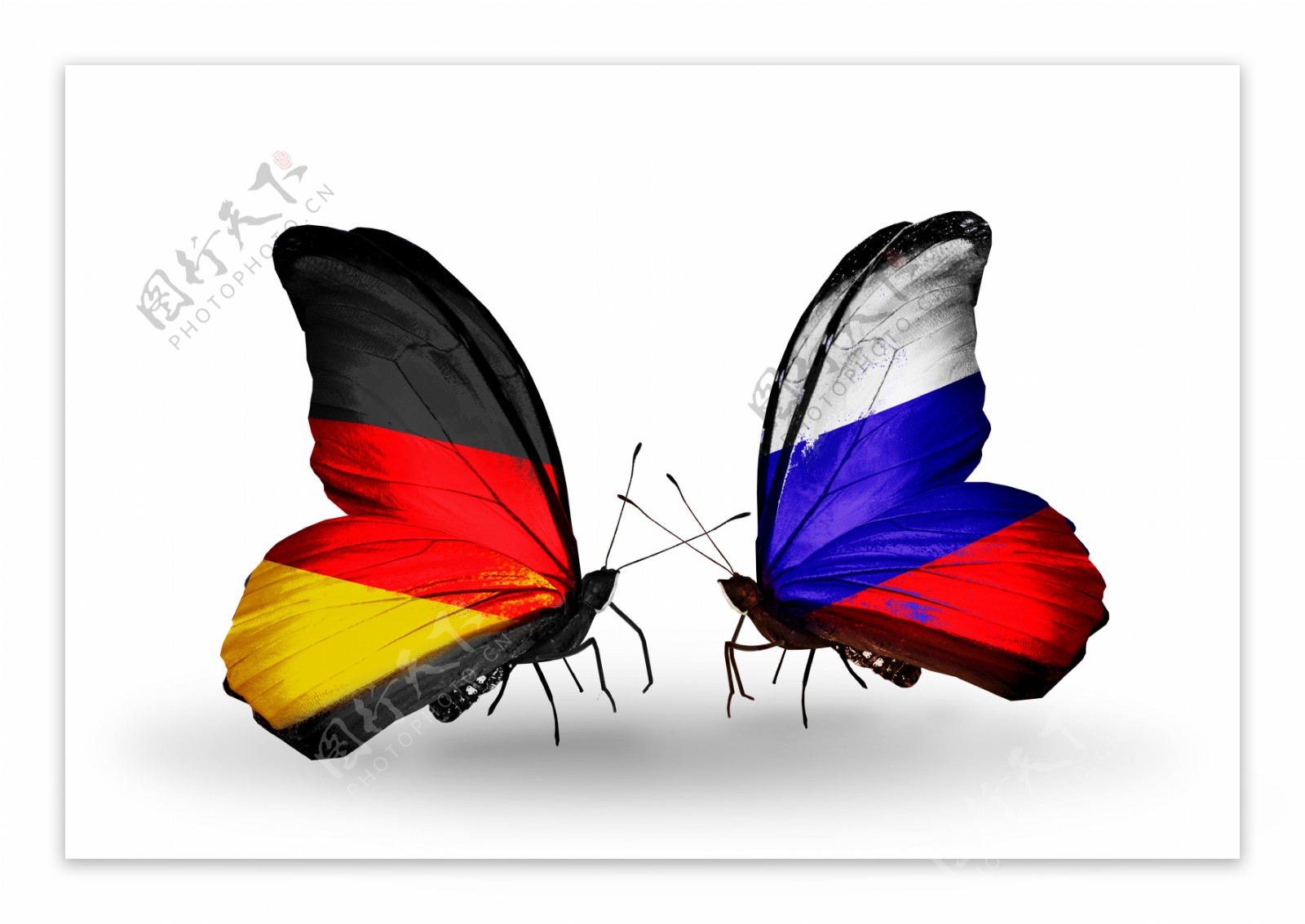 德国俄罗斯国旗蝴蝶图片