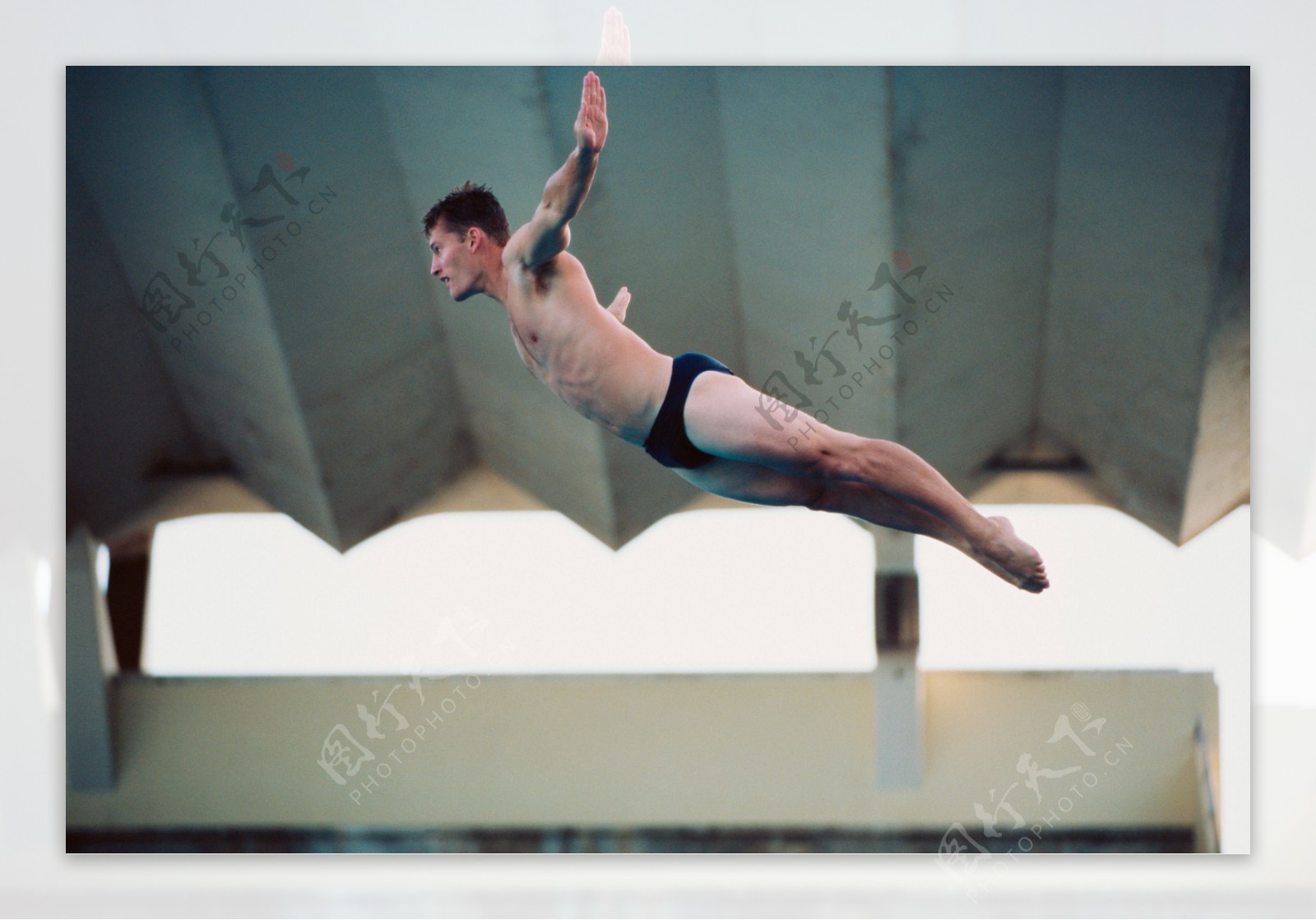 男子跳水运动员图片