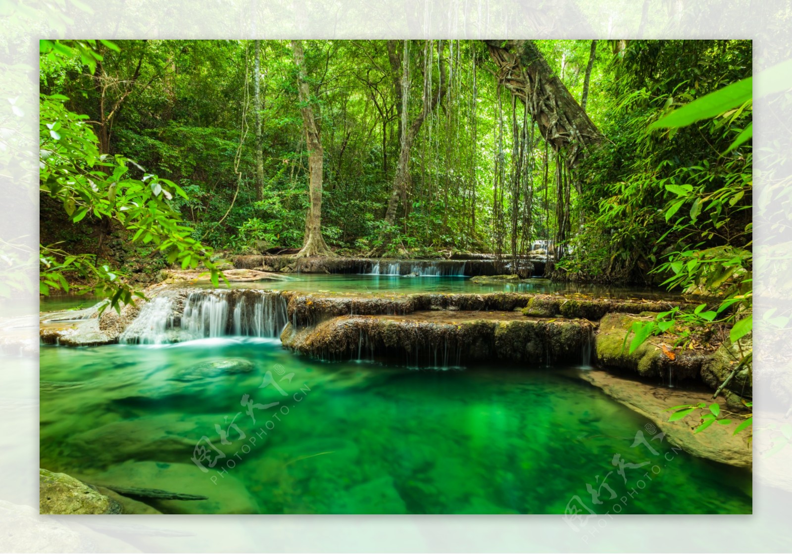 树林里的小溪美景