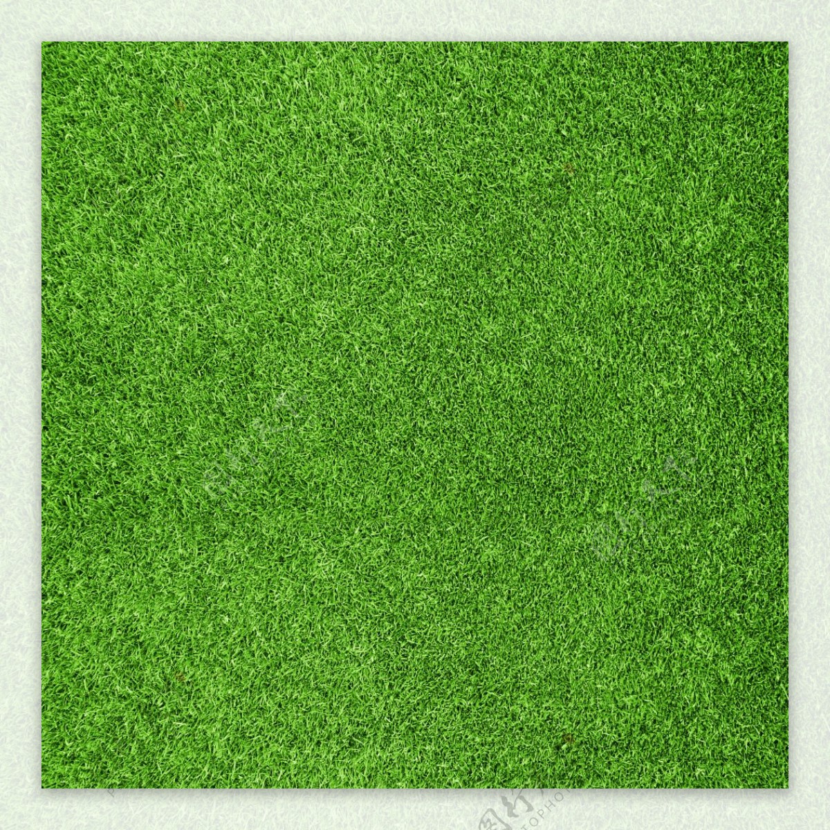 绿色草地自然草纹草2