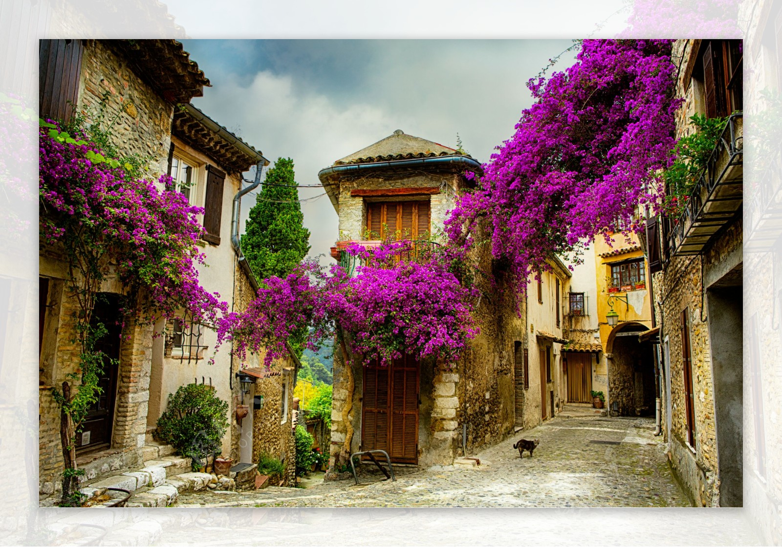 满墙鲜花的欧式城镇房屋图片