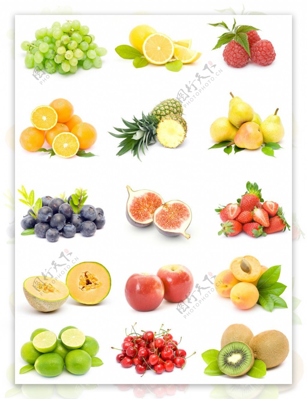 15种常见水果高清图片下载