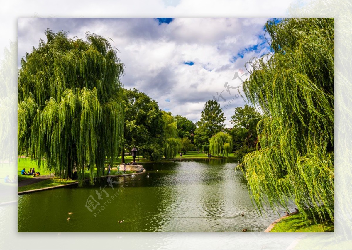波士顿公园湖泊风景图片