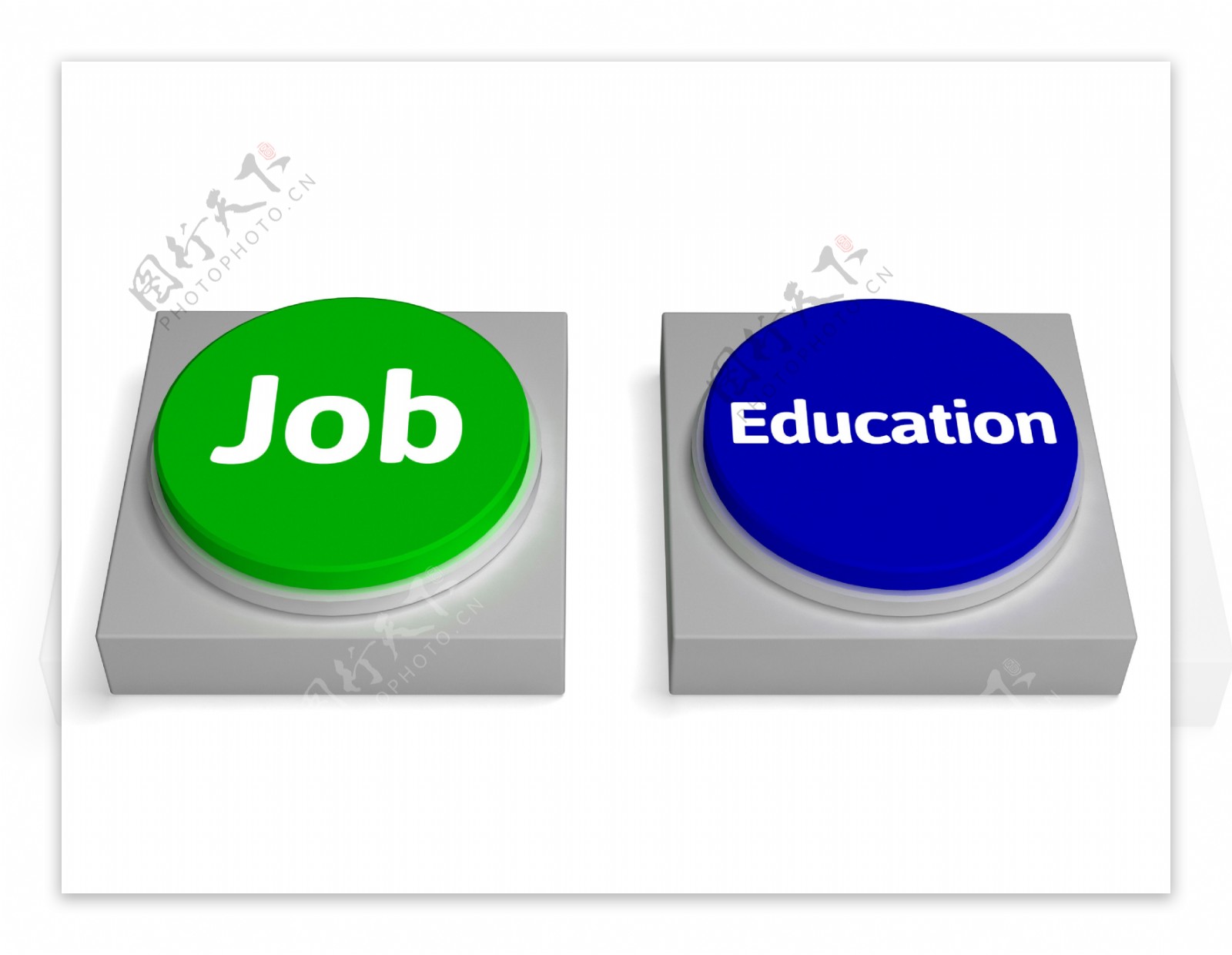 职业教育或大学采用按钮显示