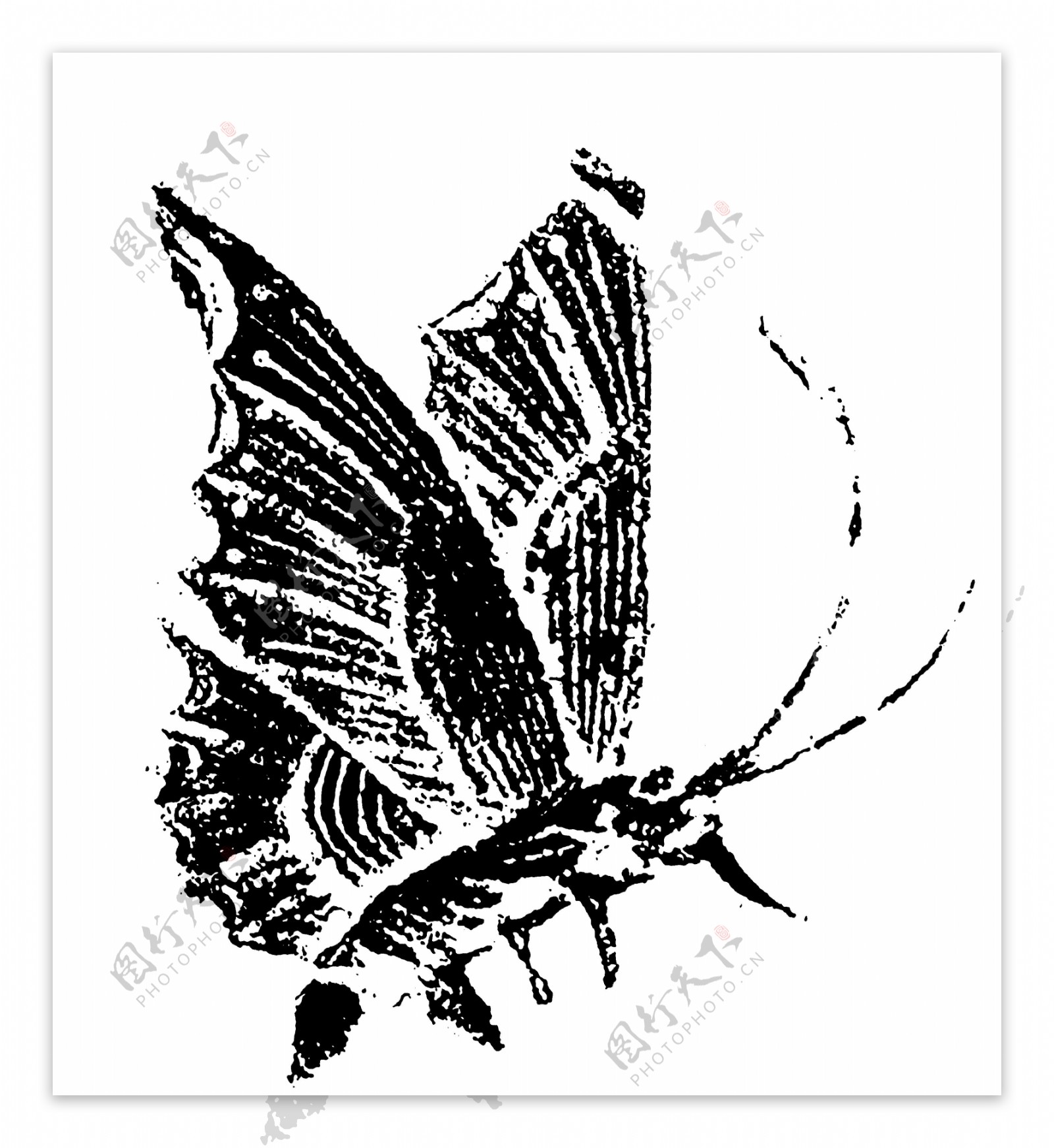 清代花鸟图案中国传统图案0049