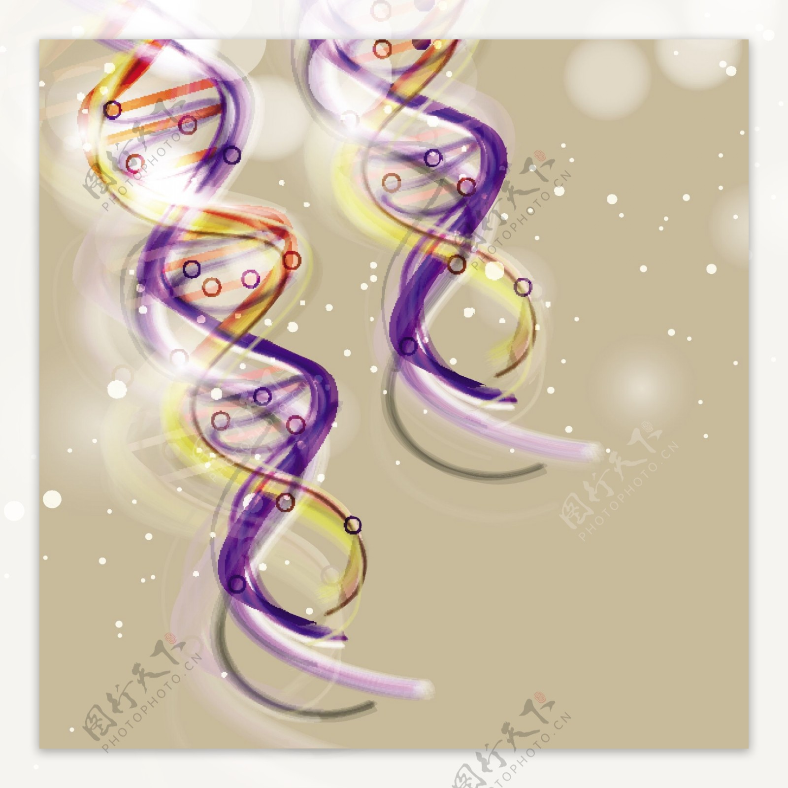 DNA双螺旋结构