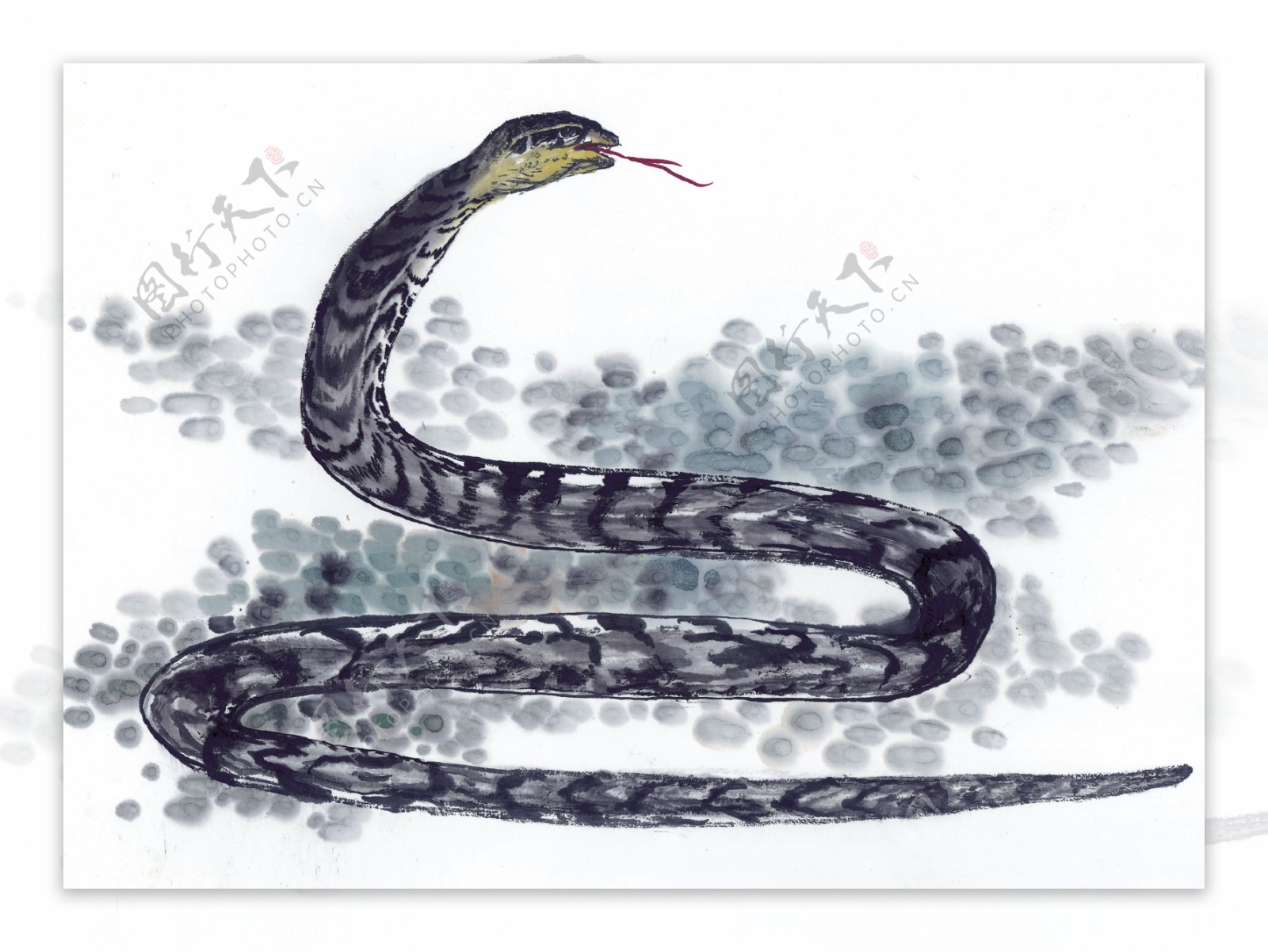 蛇生肖写意动物画国画0137