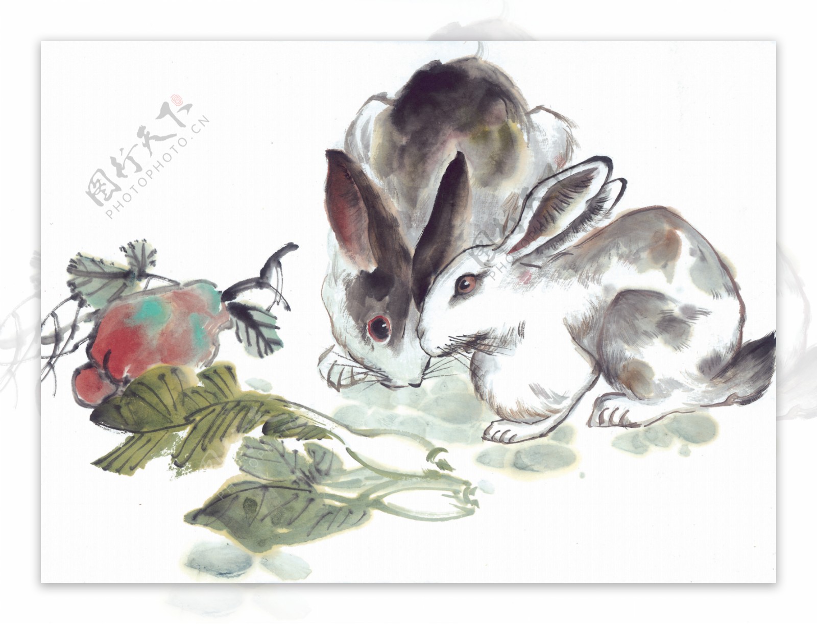 兔子十二生肖中国画0019