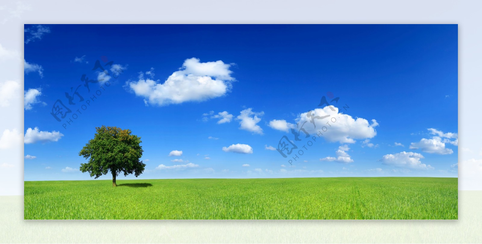 蓝天与草原风景图片