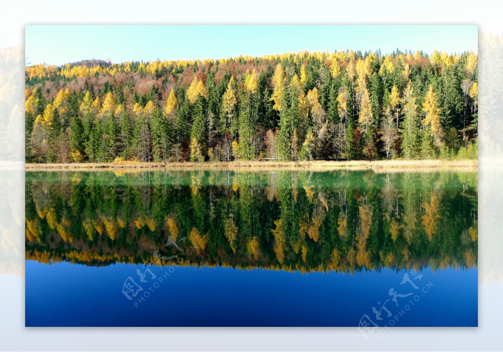 平静的湖泊风景图片