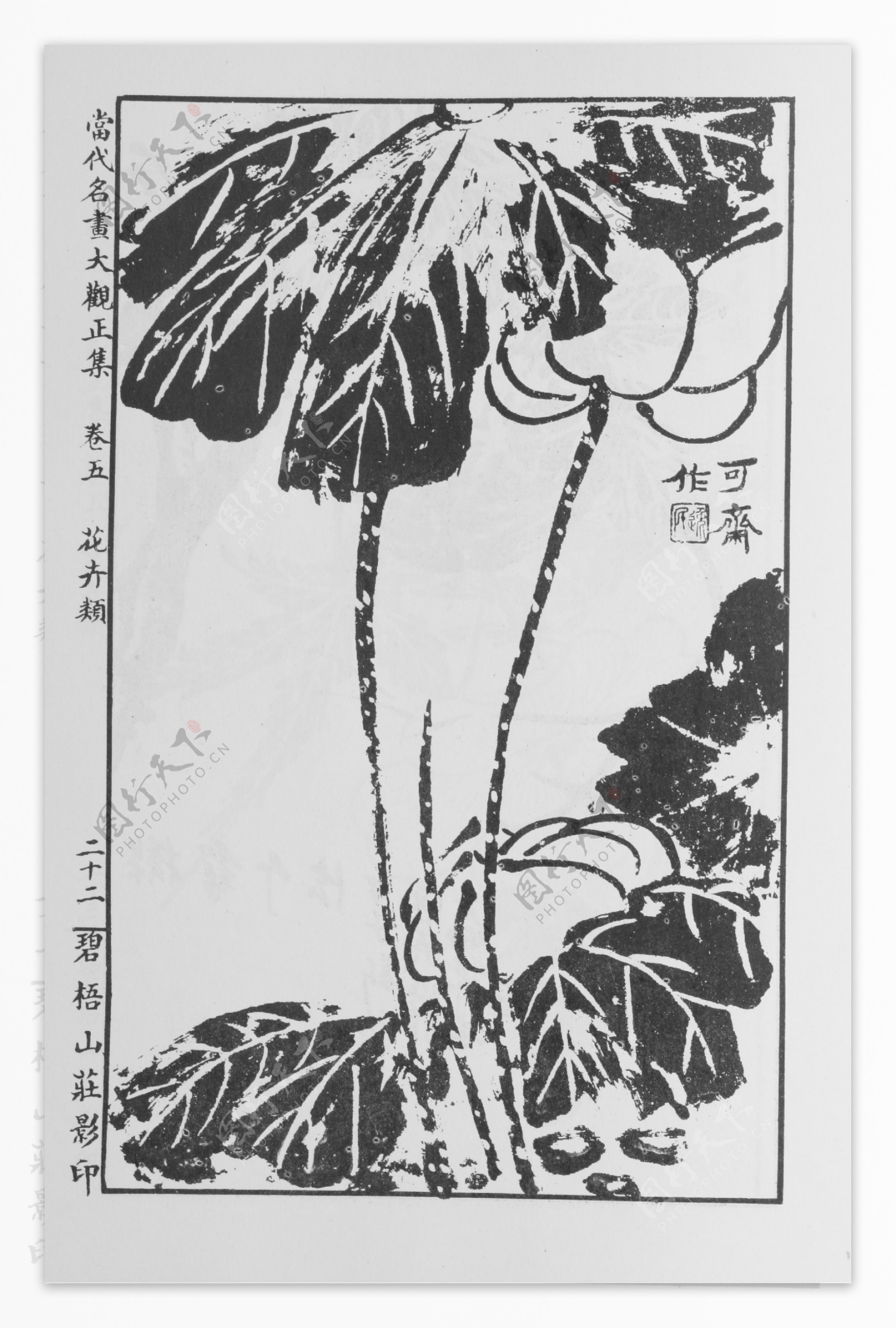 花卉画中国画当代名画大观正集33