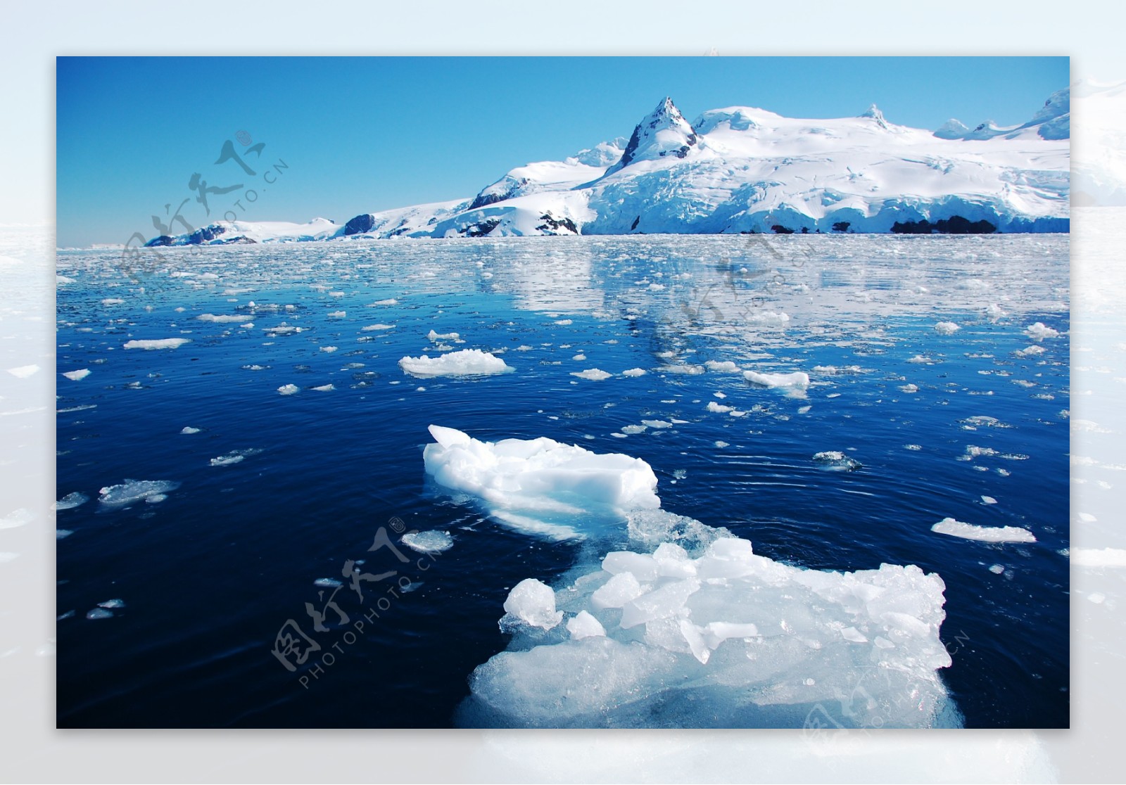 北极海面上的冰川