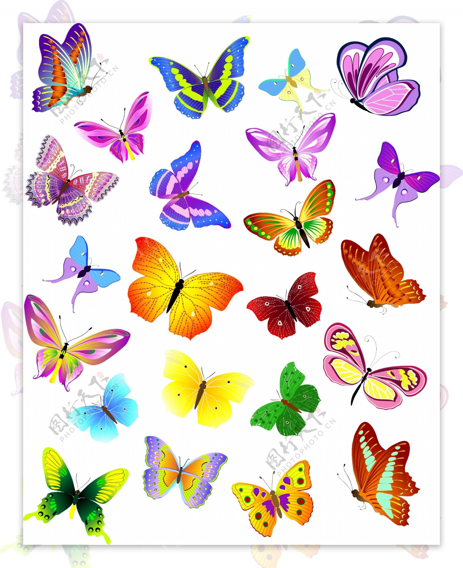 美丽的蝴蝶矢量免费下载