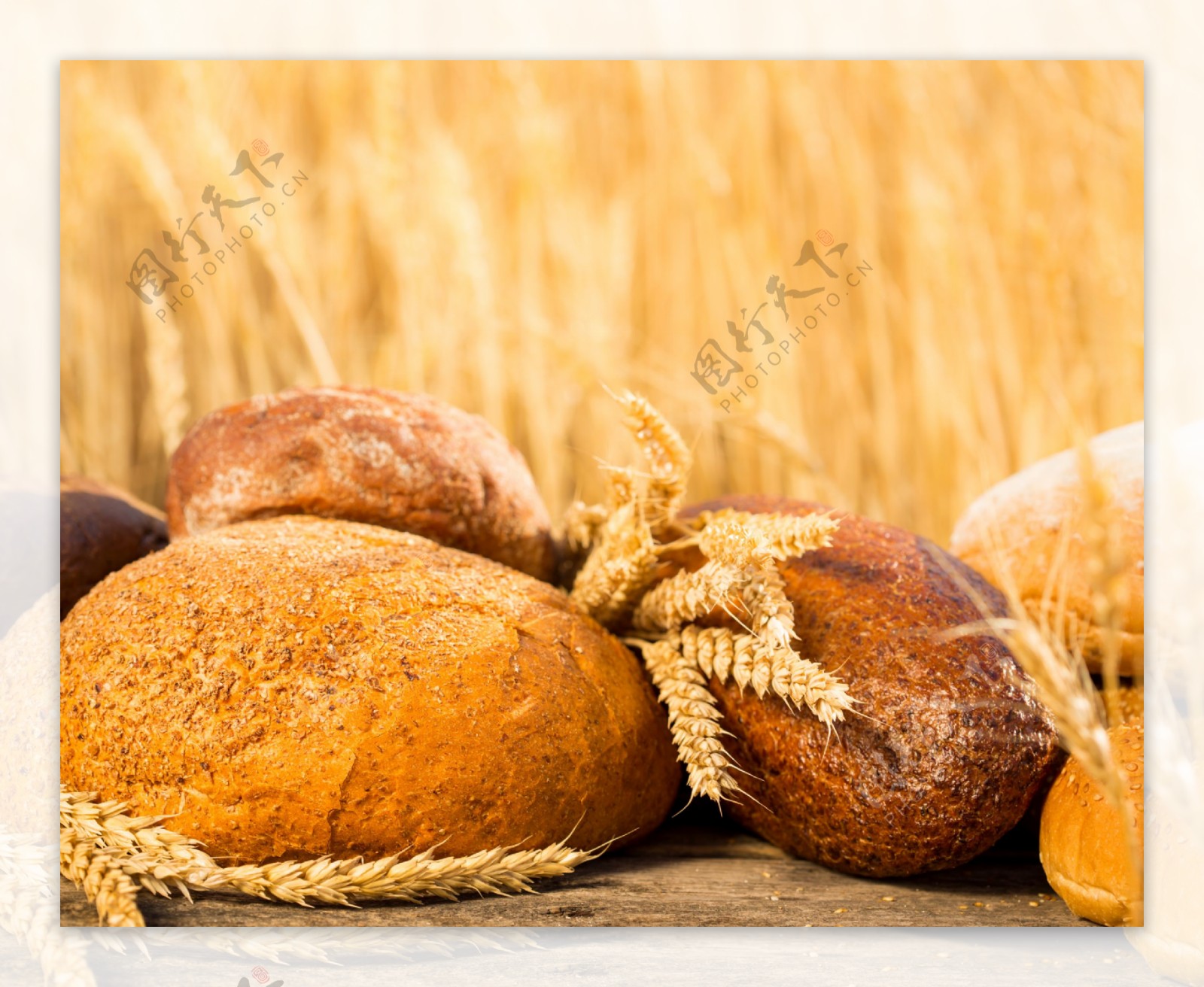 稻田背景下的面包和稻穗图片