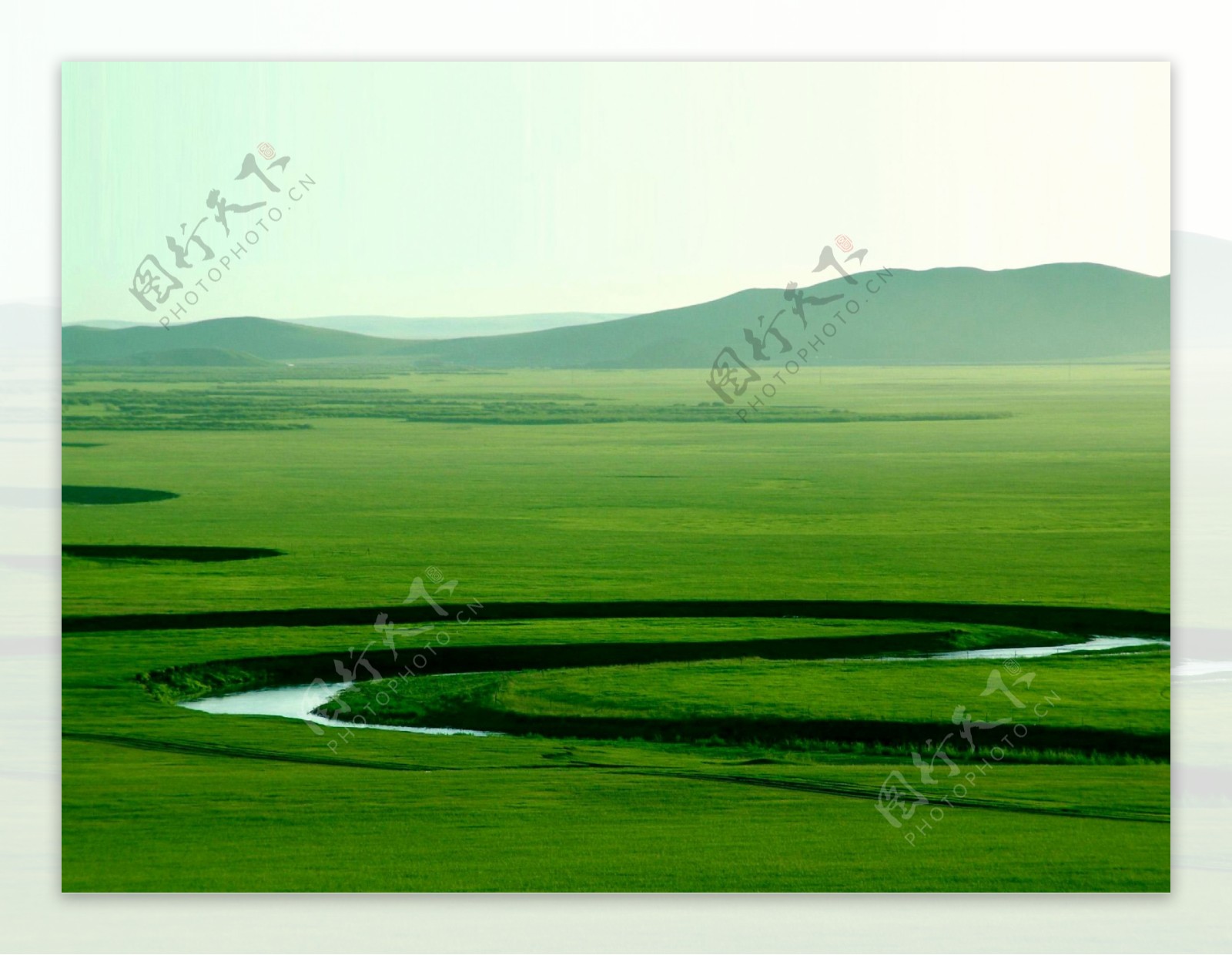 呼伦贝尔大草原图片
