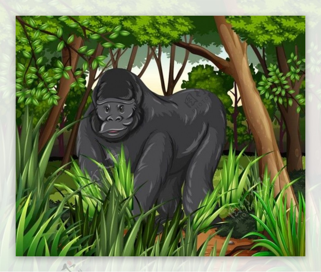 树林里的卡通猩猩图片