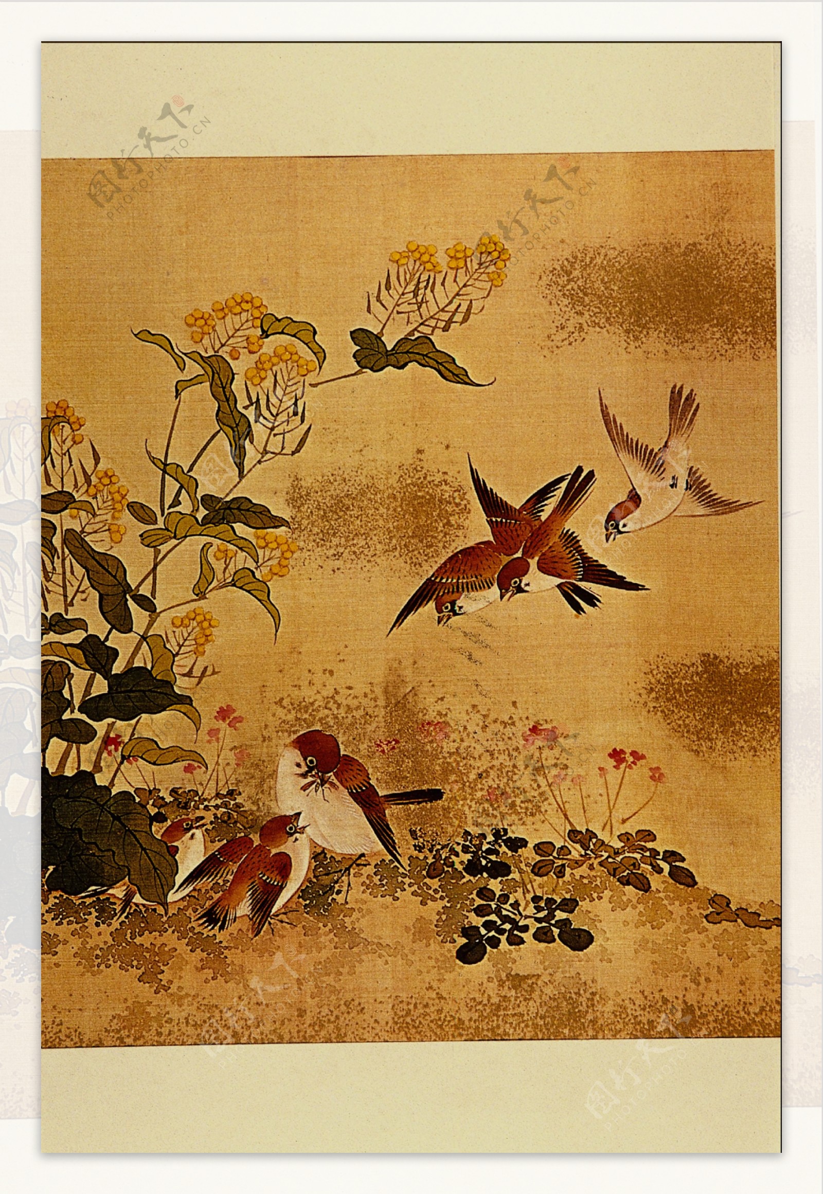 花鸟名画中国古藏0013