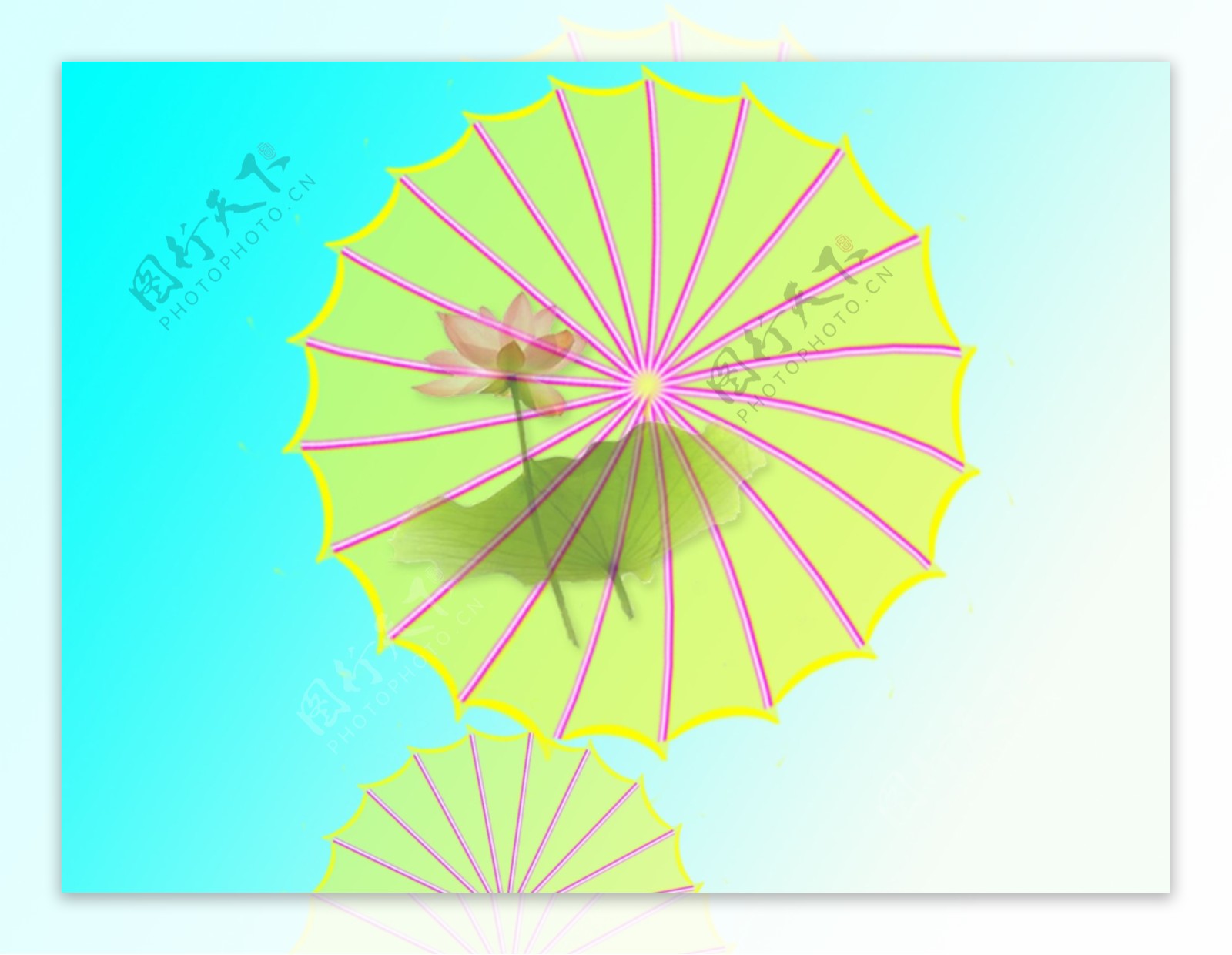 虹彩雨伞直销拐杖伞老人专用伸缩可调节晴雨两用防滑登山多功能伞-阿里巴巴