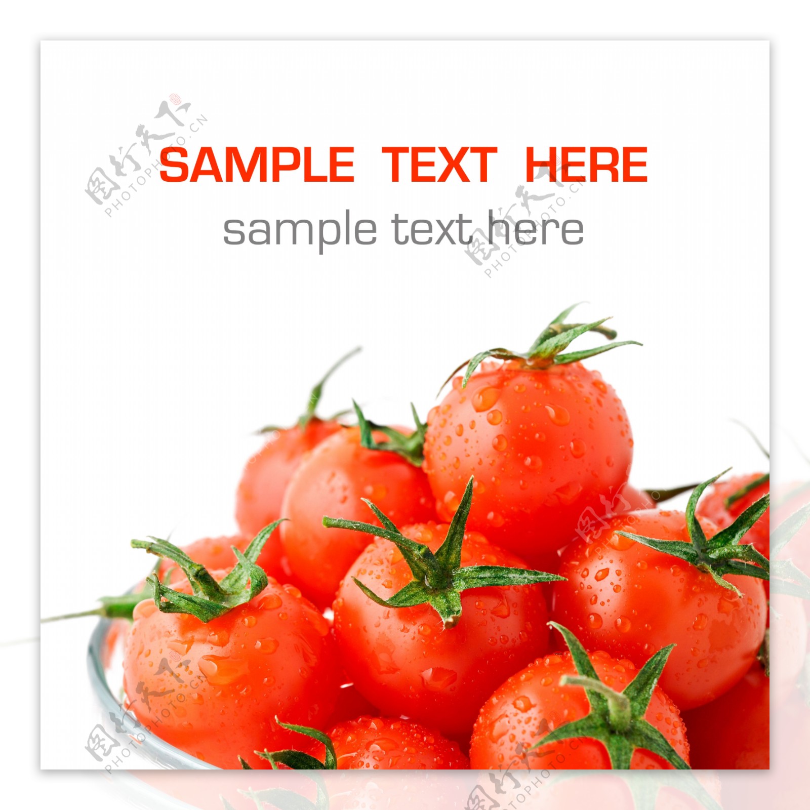 新鲜的西红柿图片素材下载