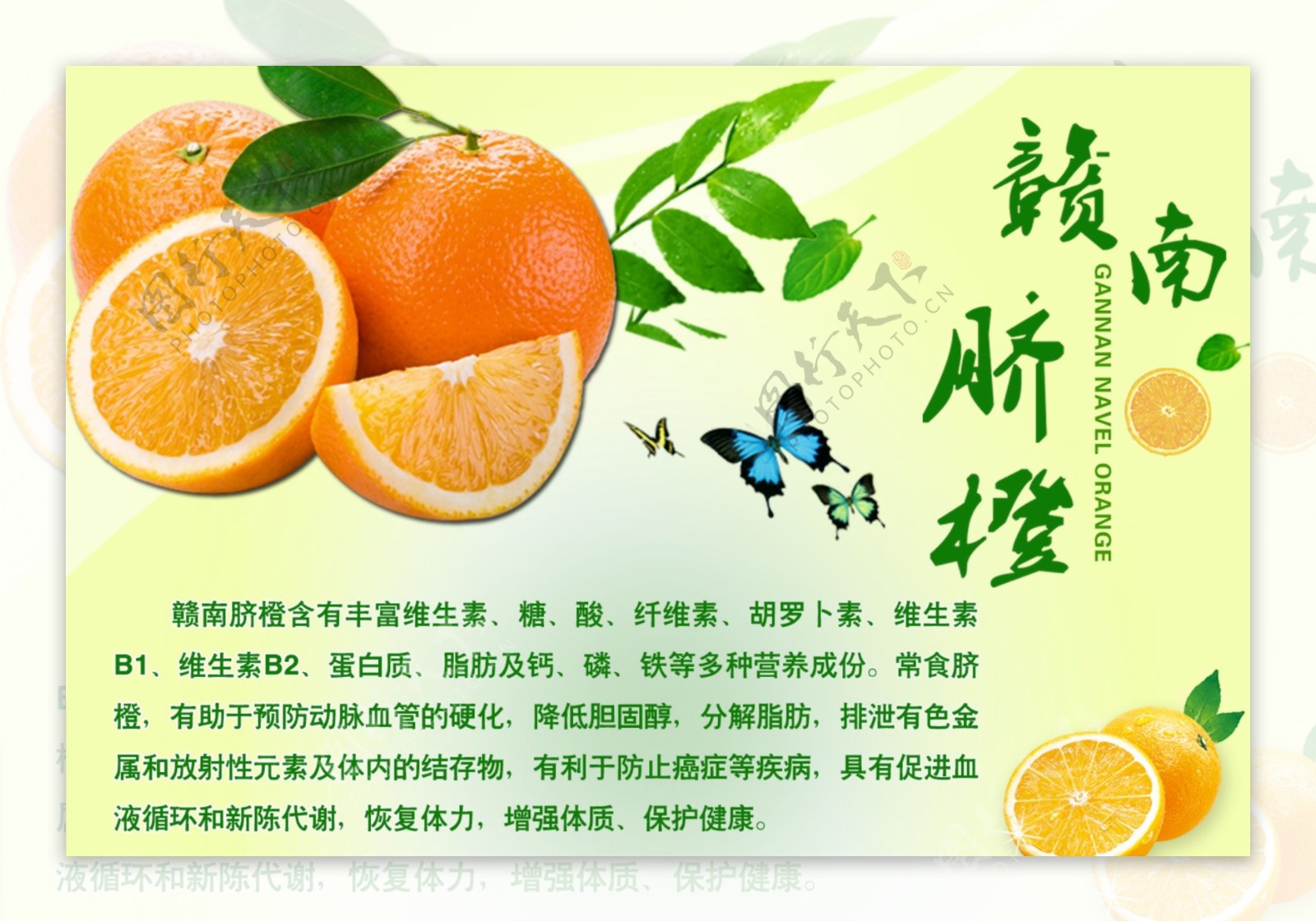 赣州脐橙广告宣传