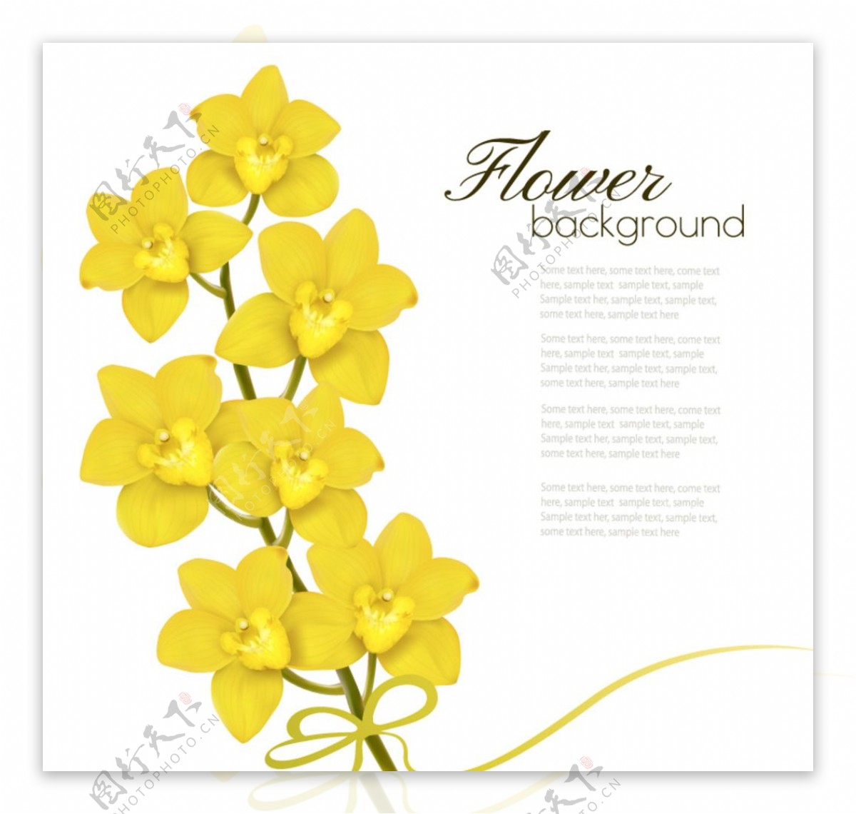 黄色蝴蝶兰花